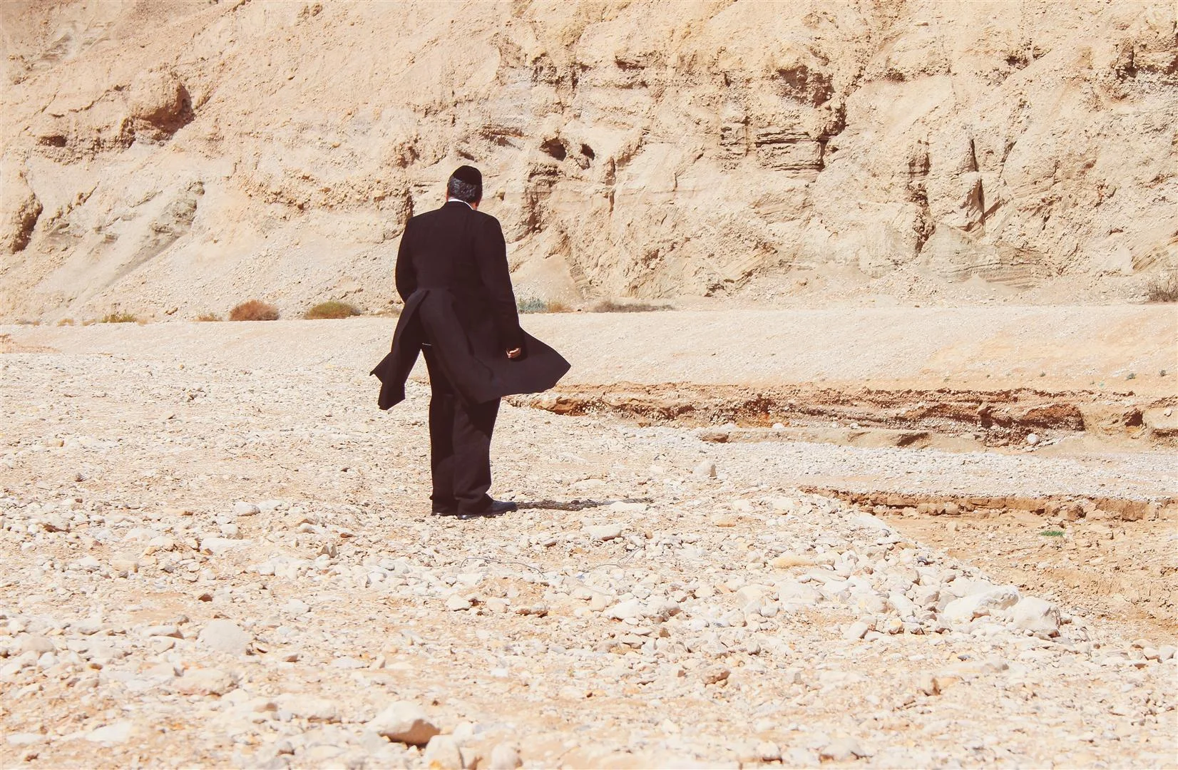 IMG_2037 (Large).JPG