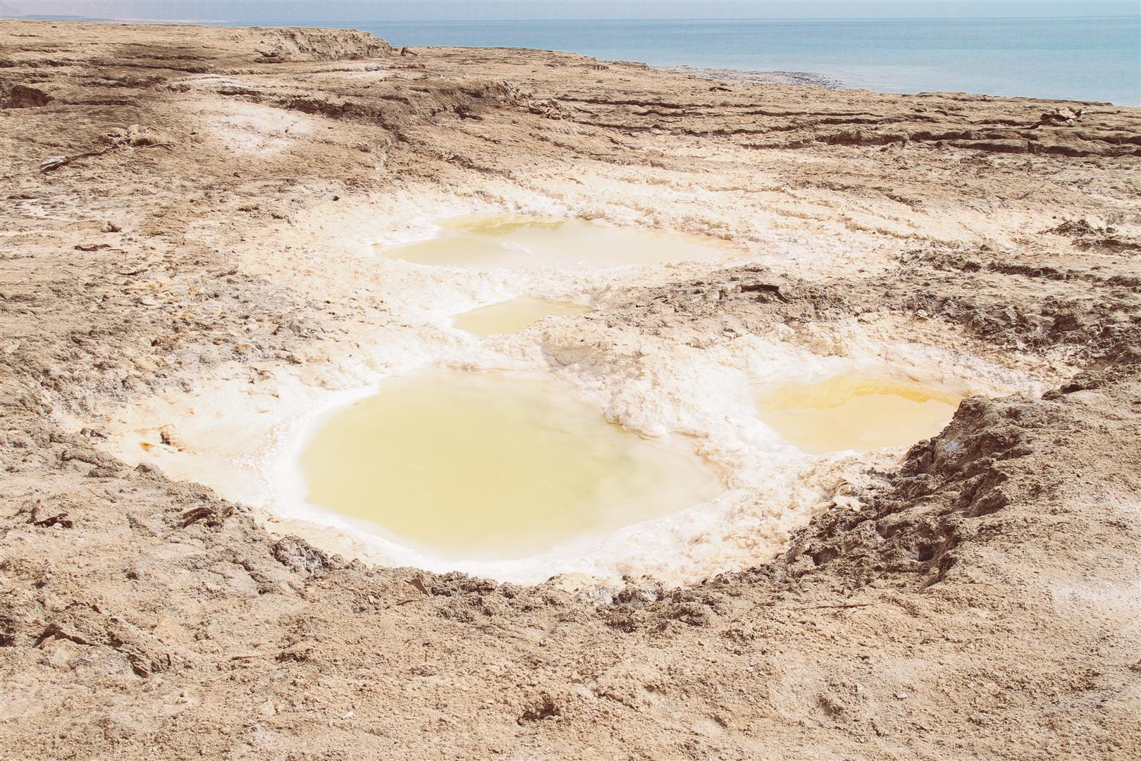 IMG_5934 (Large).JPG