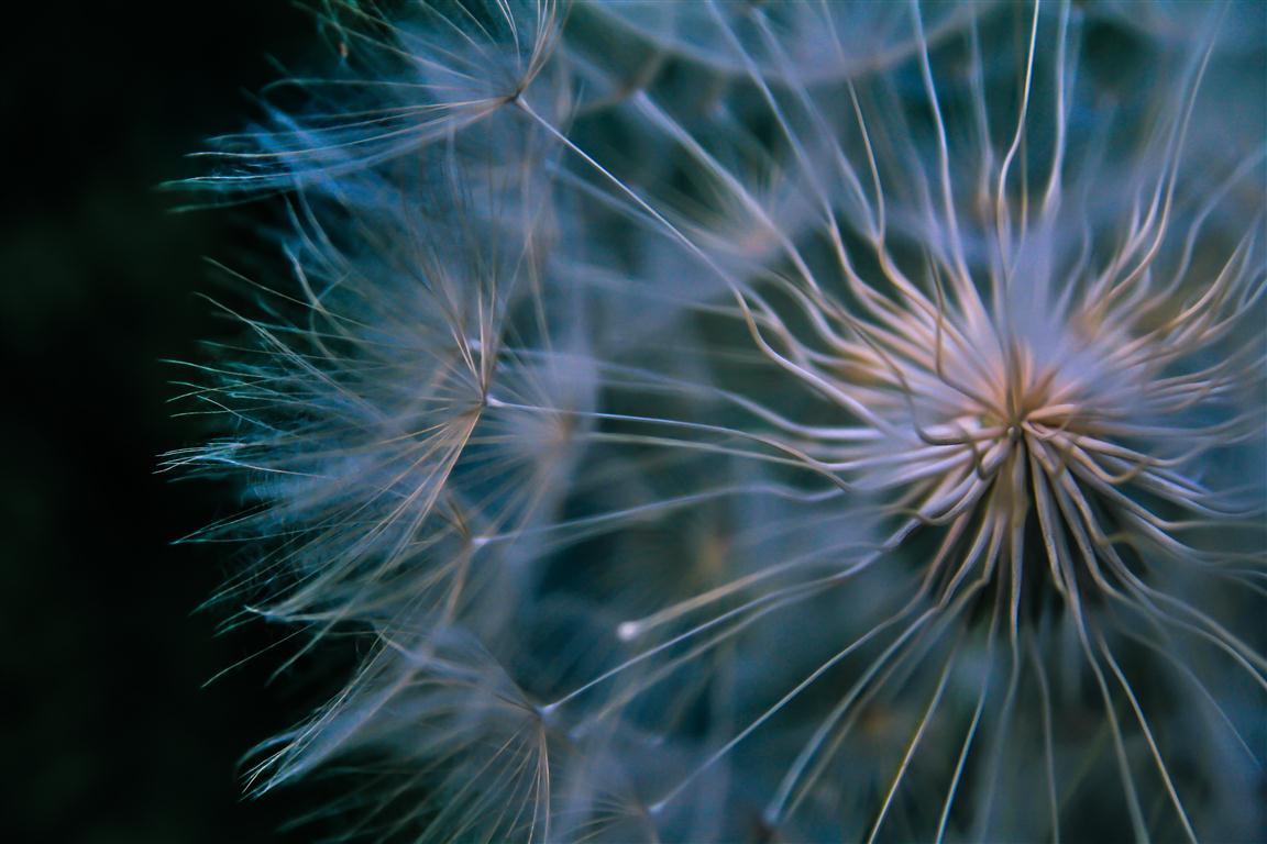 IMG_8363 (Medium).JPG