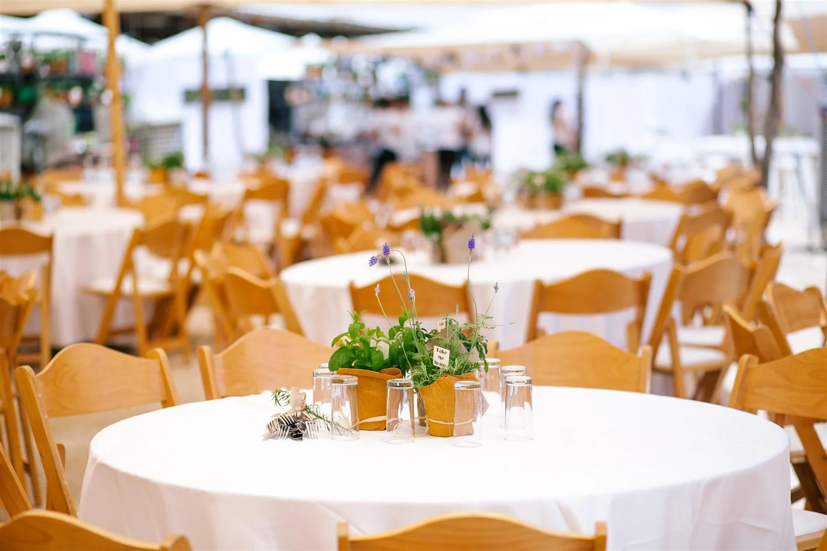 IMG_8756 (Large).JPG