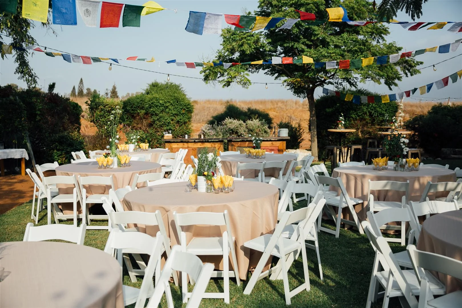 MAYA6006 (Large).JPG