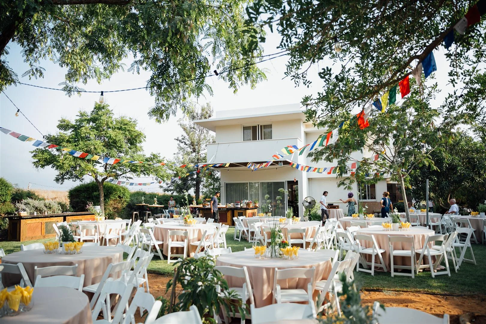 MAYA6018 (Large).JPG