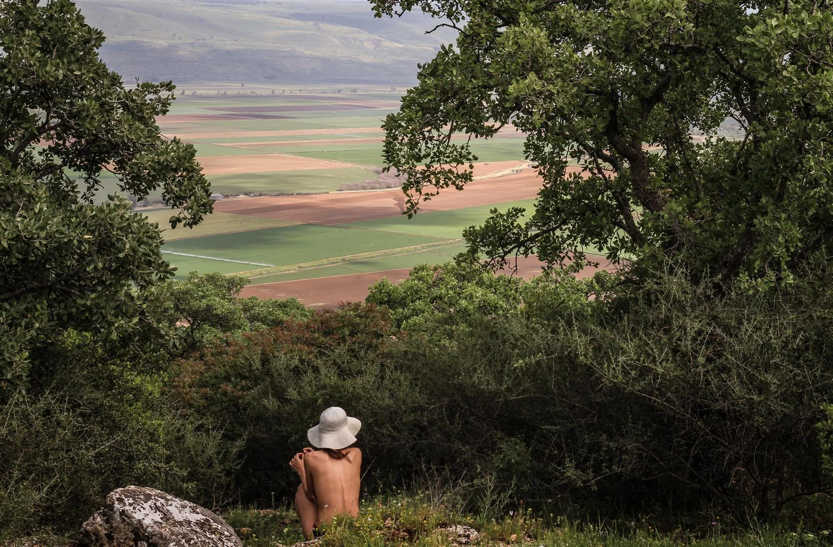 IMG_7618 (Large).JPG