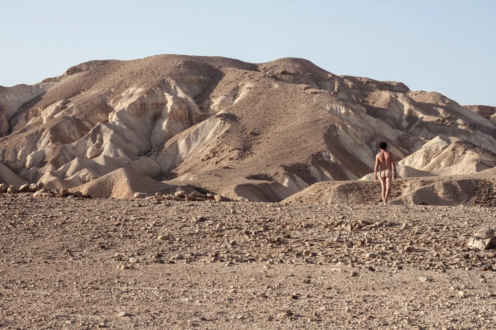 IMG_6503-2 (Large).JPG