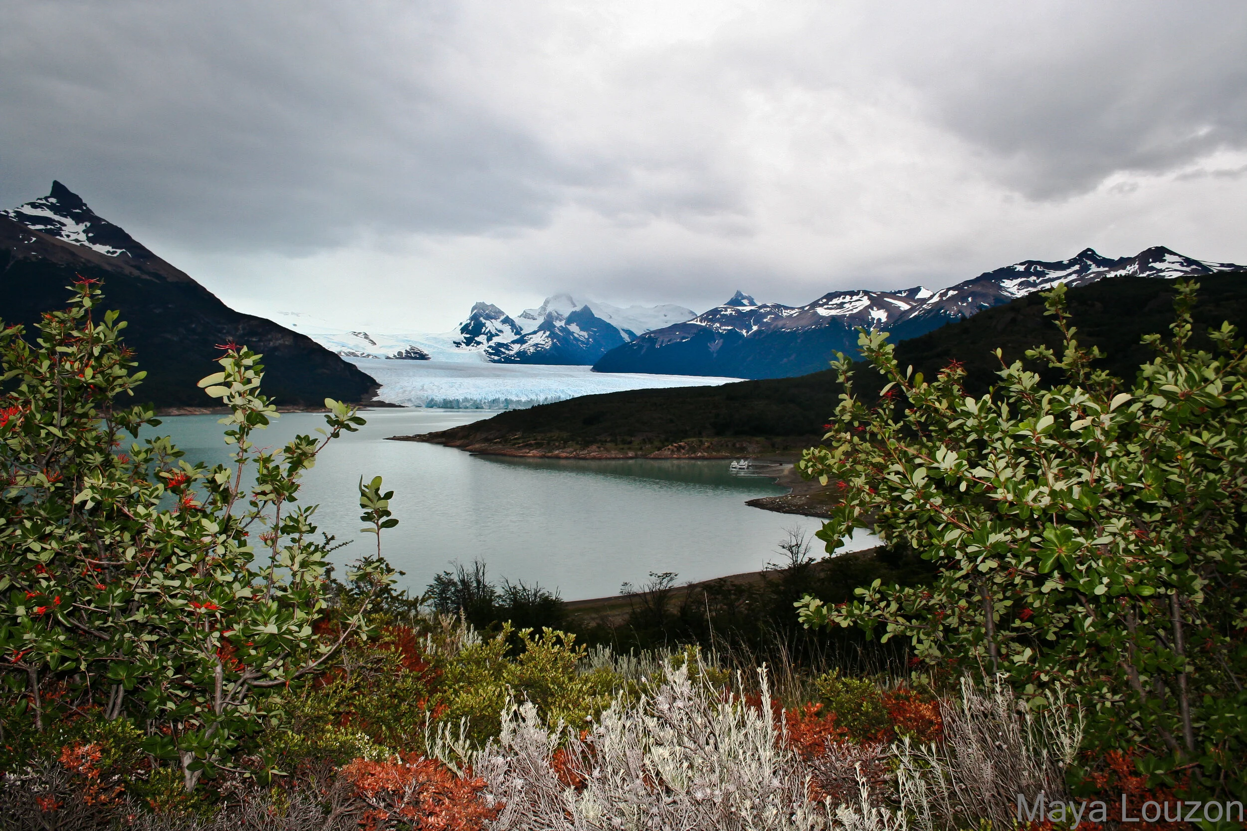 Porito moreno-Argentina.JPG