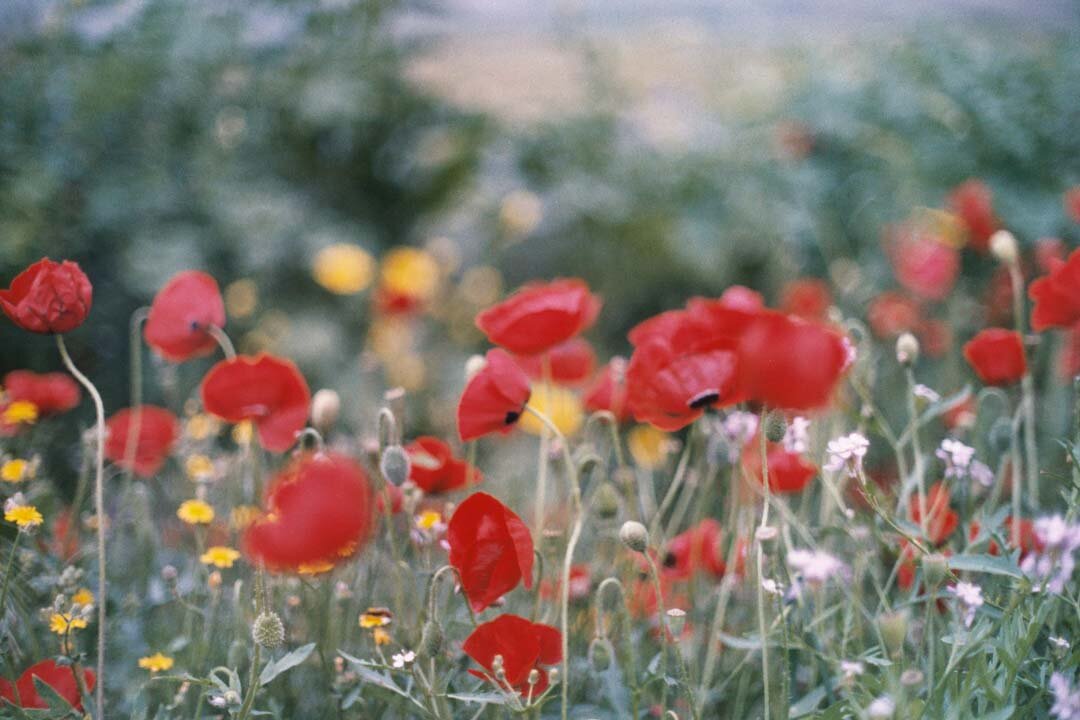 AA003.jpg
