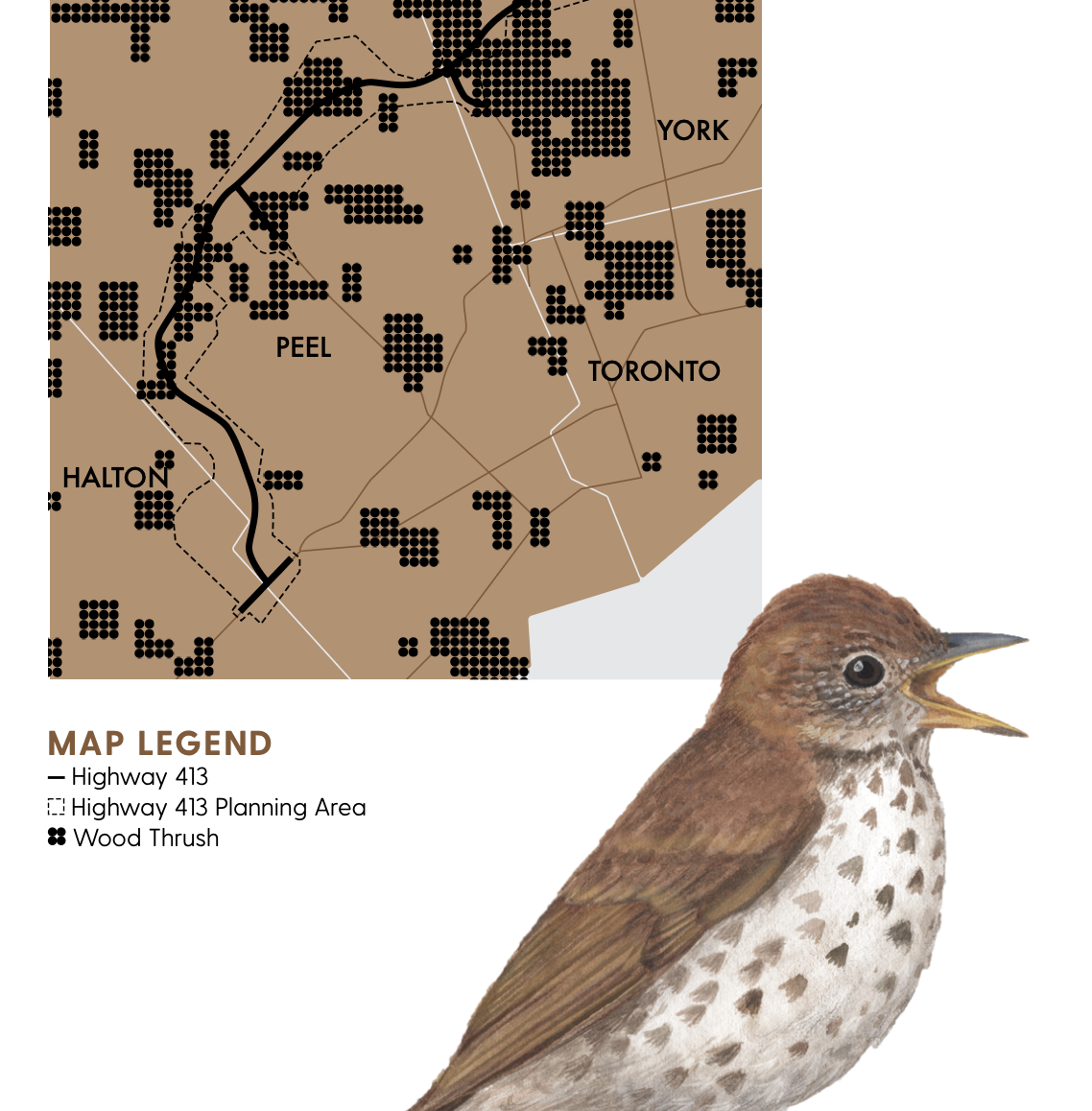 Screenshot 2026-02-12 at 4.48.12 PM.png