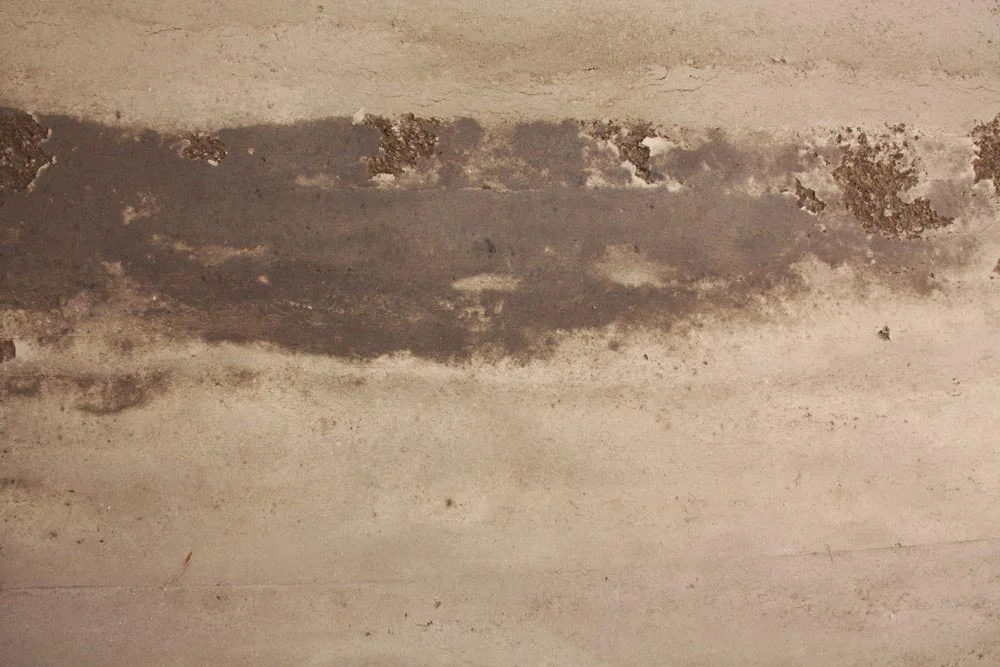 Detail of the rammed earth wall.