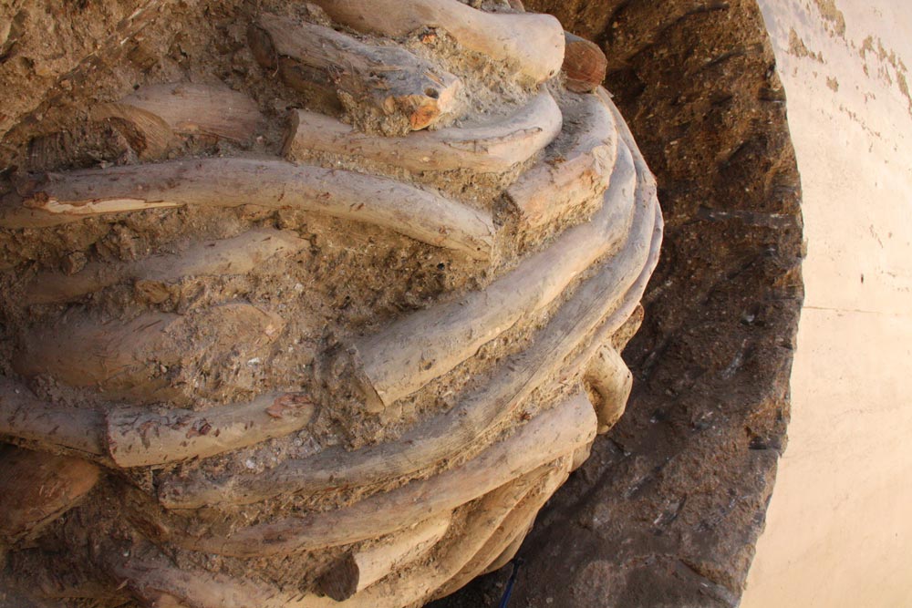 Detail of the buried then revealed eucalyptus branches surrounded by a rammed earth wall.
