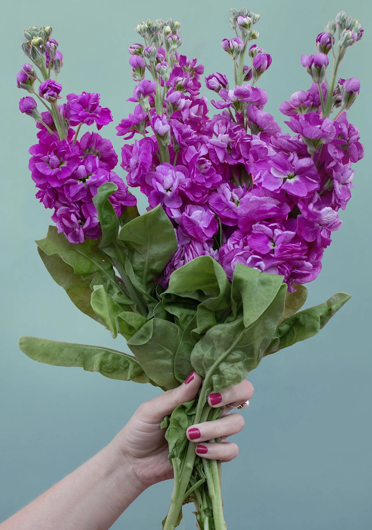 gift bouquet.jpg