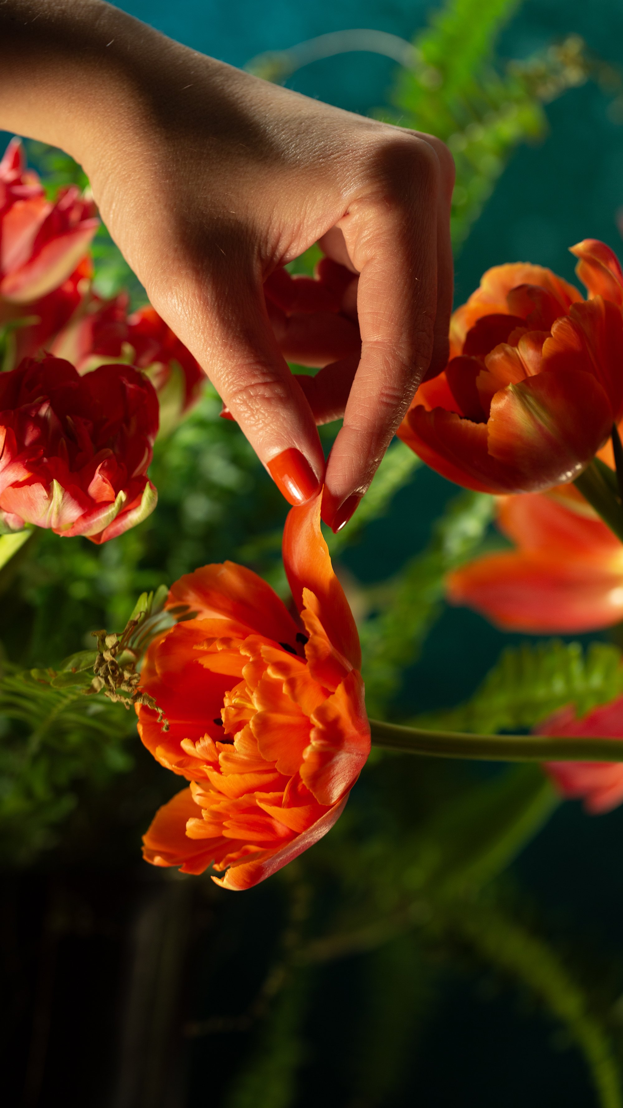 flowereditorial.jpg