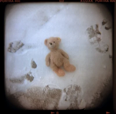 Snowy.jpg