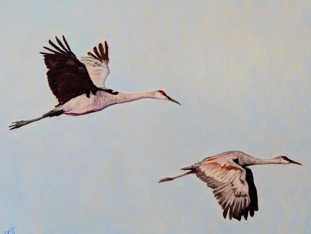 Judith Robichaud | Booth 8