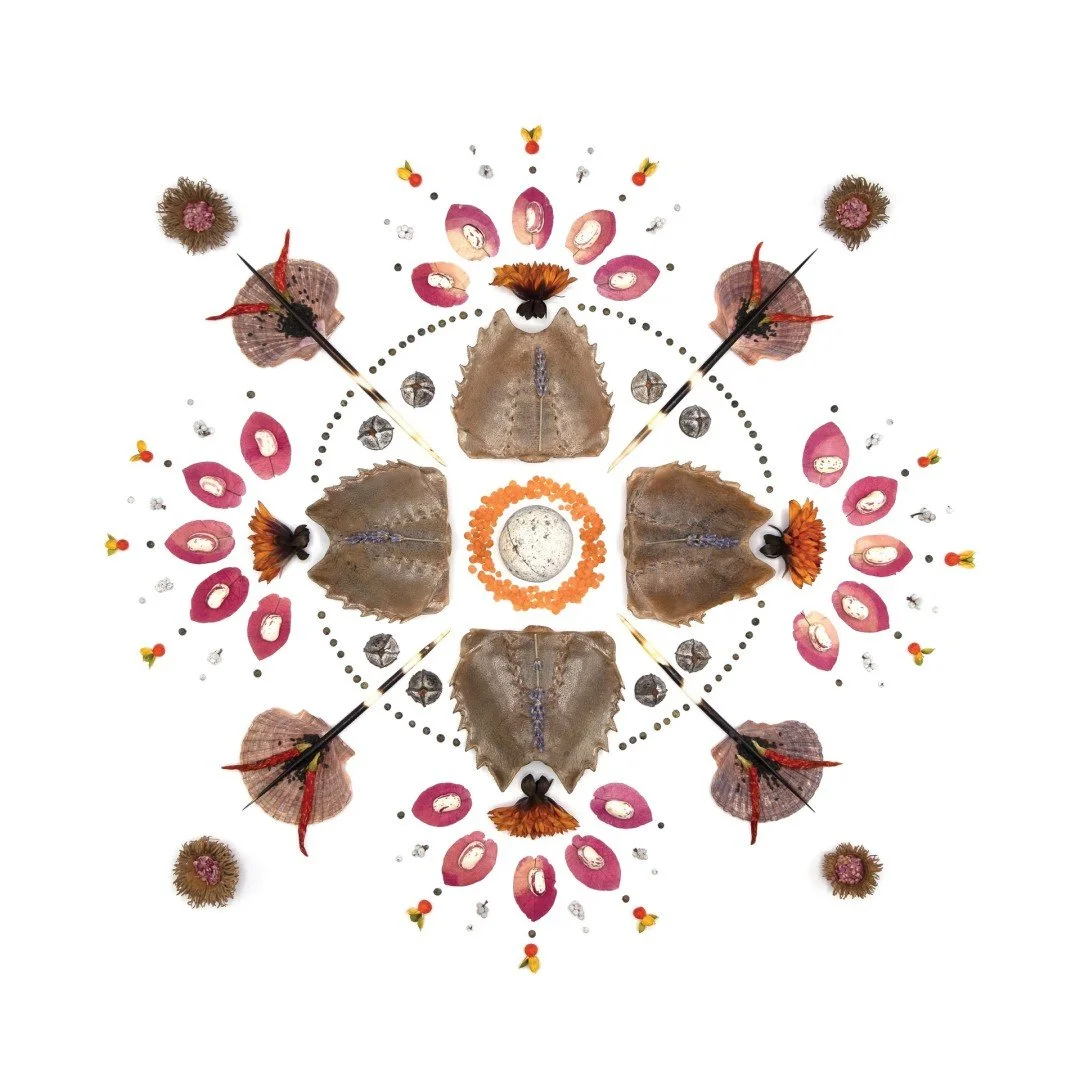 Beth Adoette | Booth 89