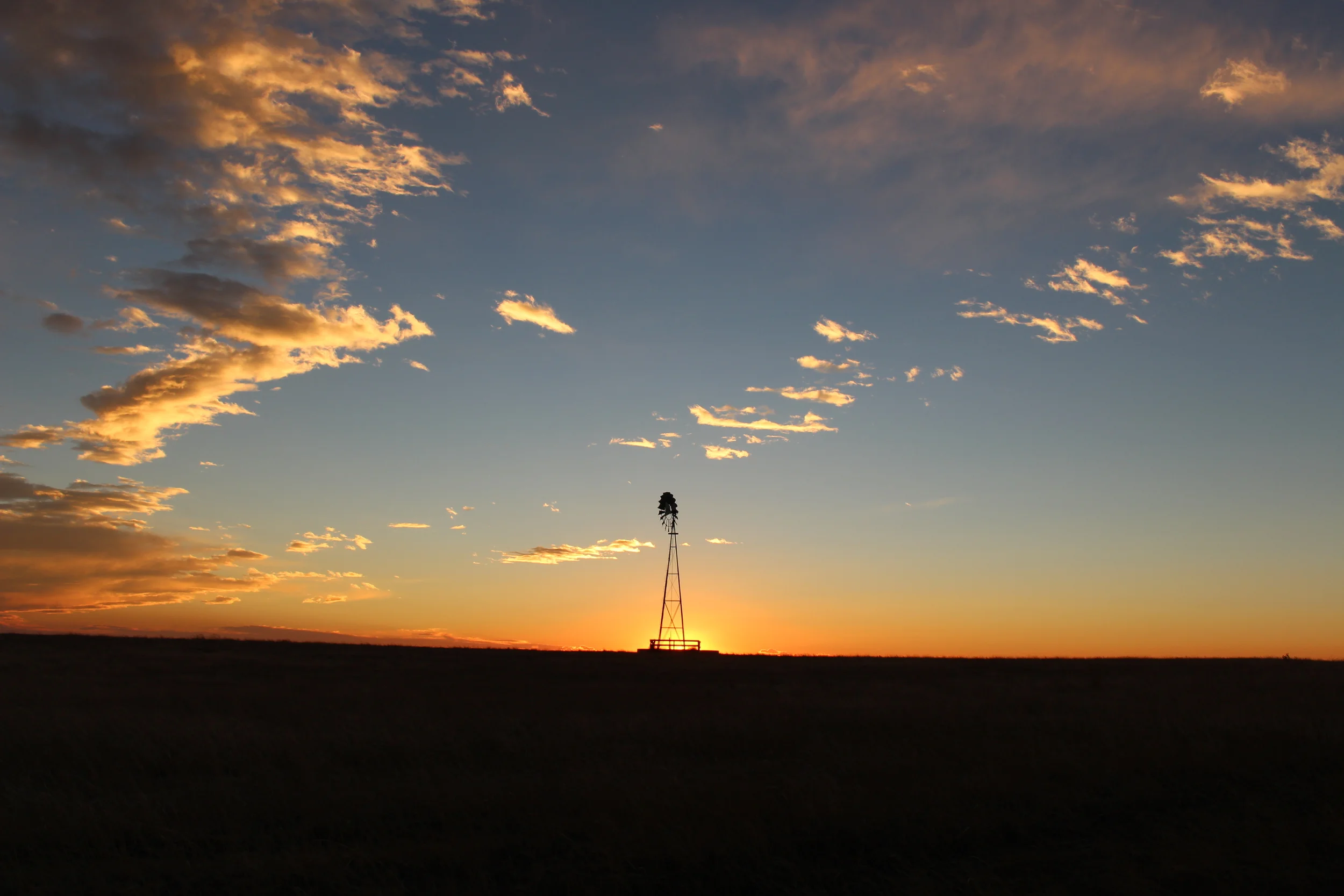  A Meaning-Making Machine