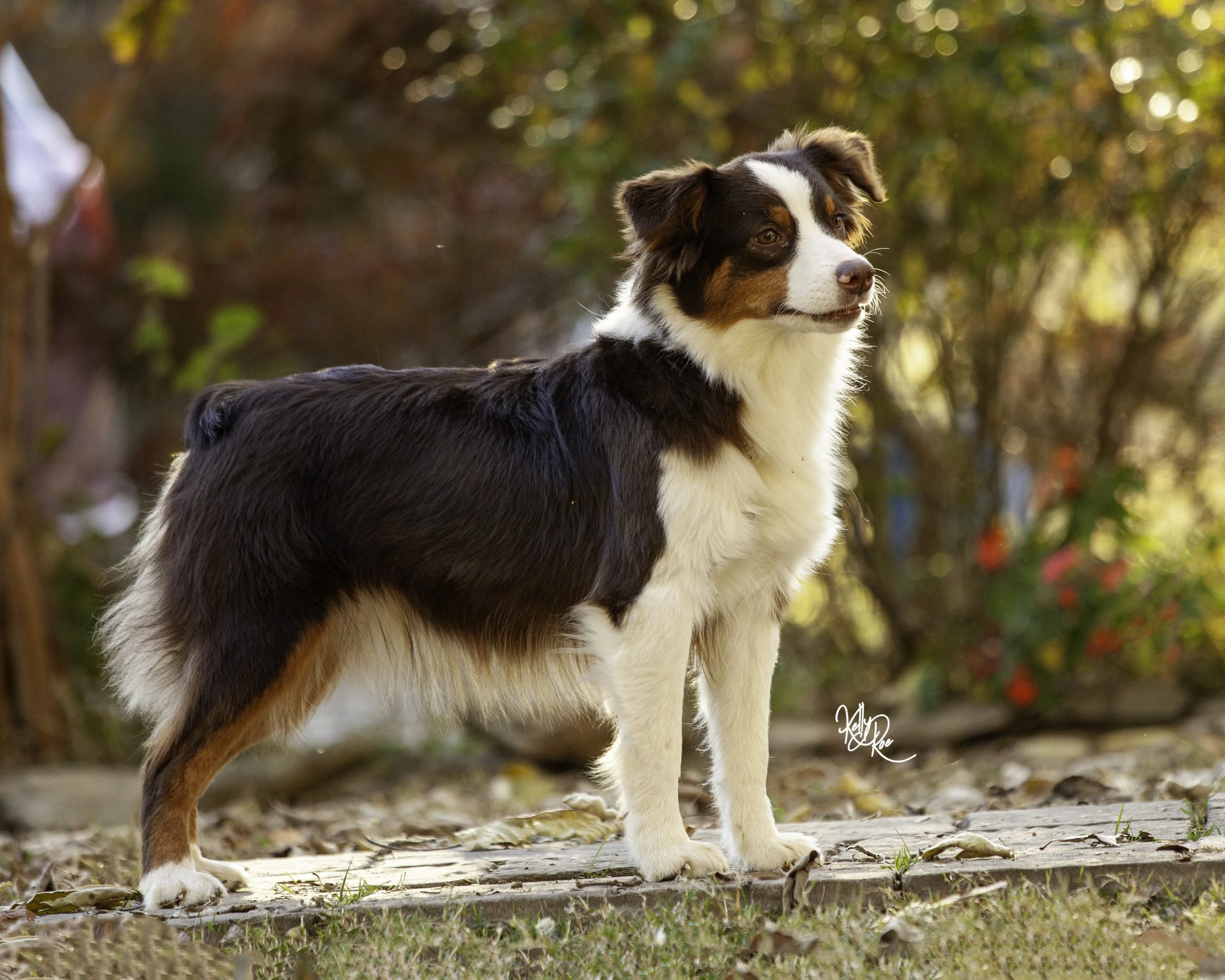 11   6-2201-Edit.jpg