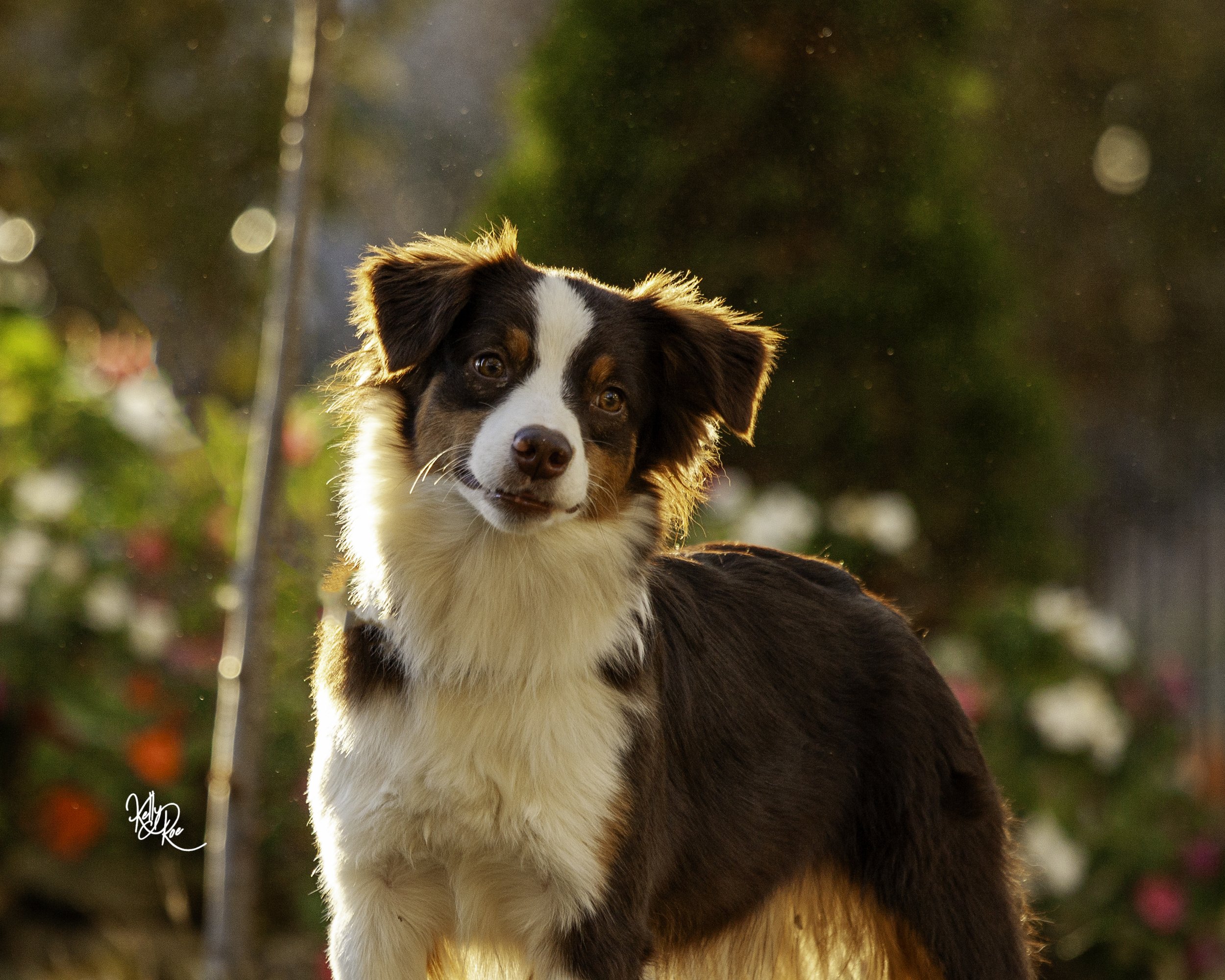 11   6-2321-Edit.jpg