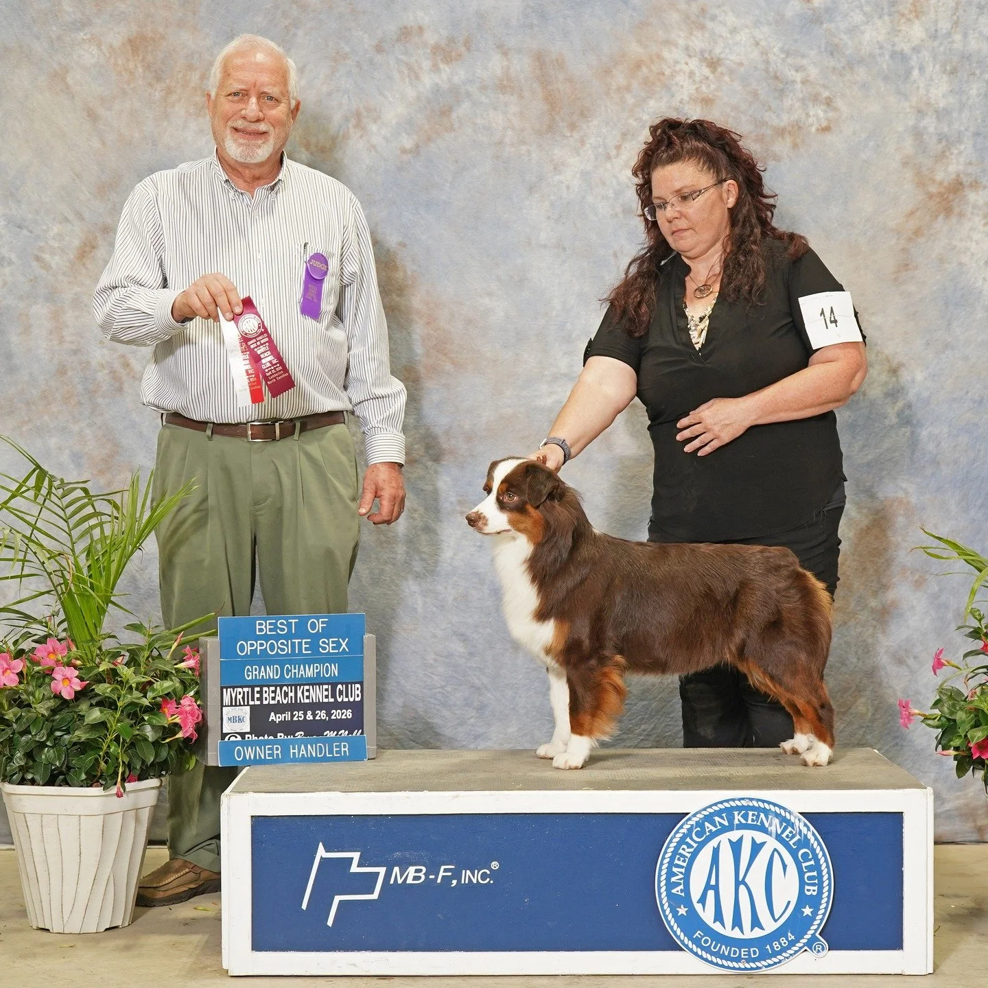 NEW Unofficial AKC Grand Champion!!!!
GCH CH Fine Hills Burning Embers 

Myrtle Beach Kennel Club
Lumberton, NC
April 25, 2026

Best Opposite Sex, Owner Handler, Best Of Breed 3 Grand Champion Points.

Sire is GCH CH Karporkorn Red Hot Summer FDC BCA