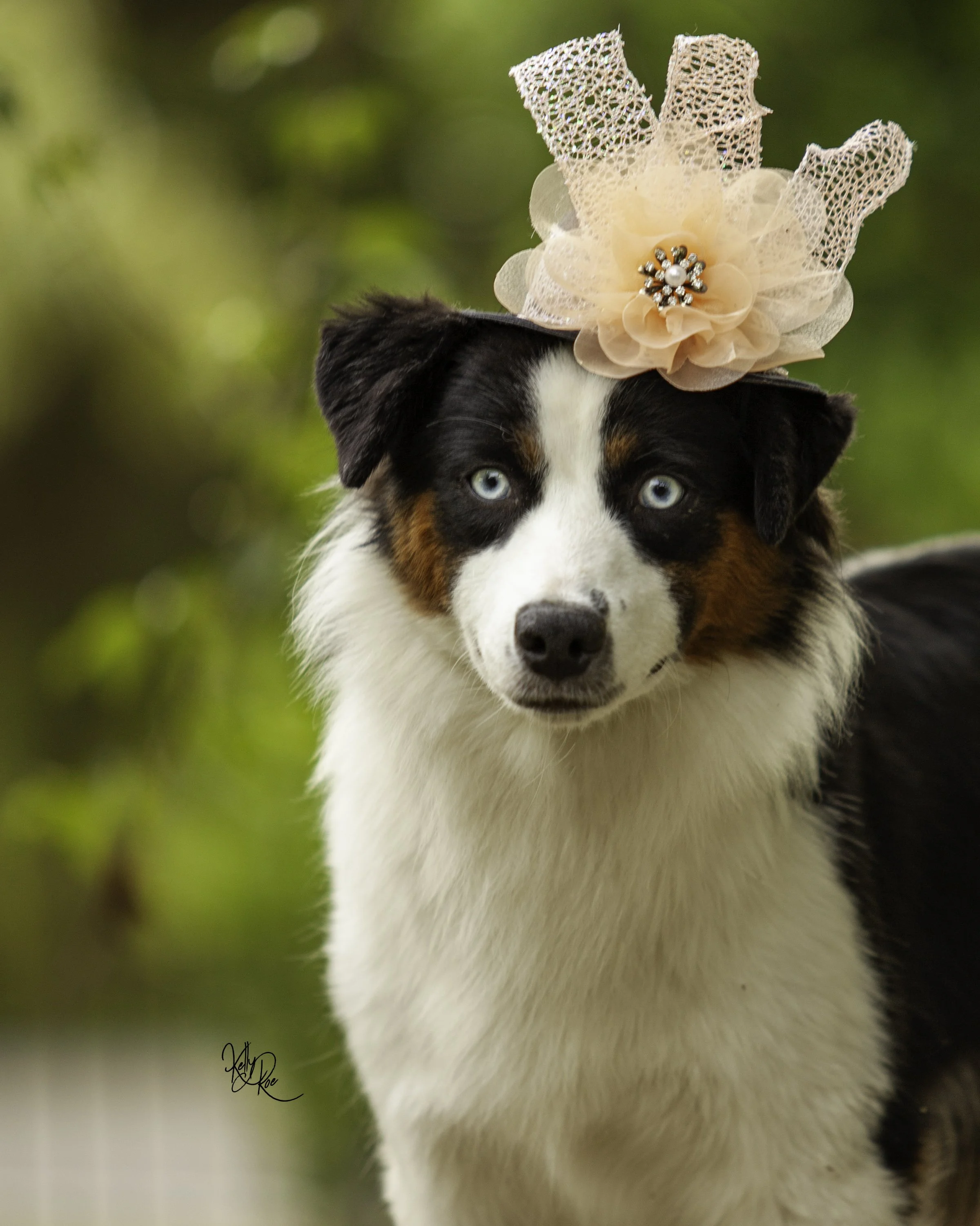 morganna derby day-6244-Edit.jpg