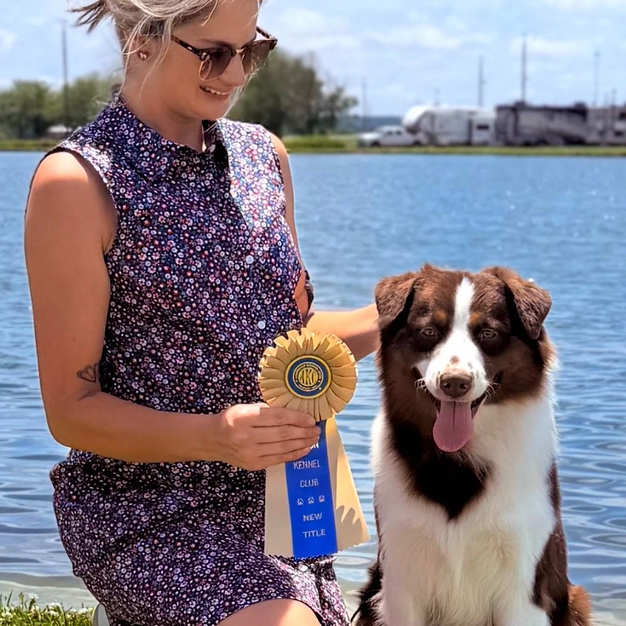 NEW AKC Champion (pending AKC Approval)

Tarafox's Sneak Peak of Karma 

Congratulations to Summit and Gretchen on their 5 Pt Major- Winners Dog and Best of Breed Owner Handler in Perry Ga. 

Sire is GCH CH Karporkorn Red Hot Summer FDC BCAT 
Dam is 