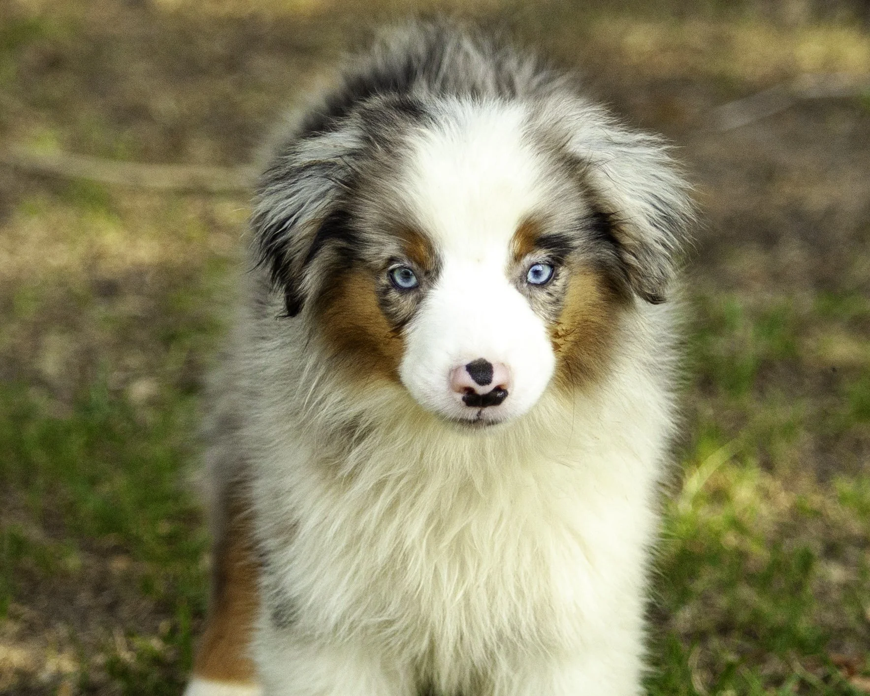 hemi-8152-Edit.jpg