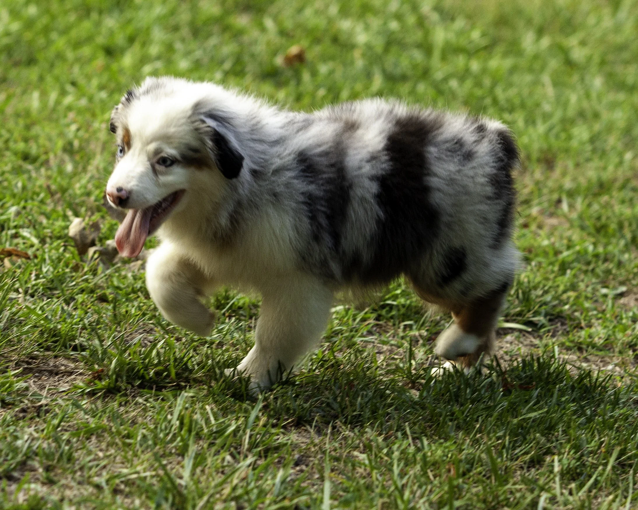 shadows pupf-8296-Edit.jpg