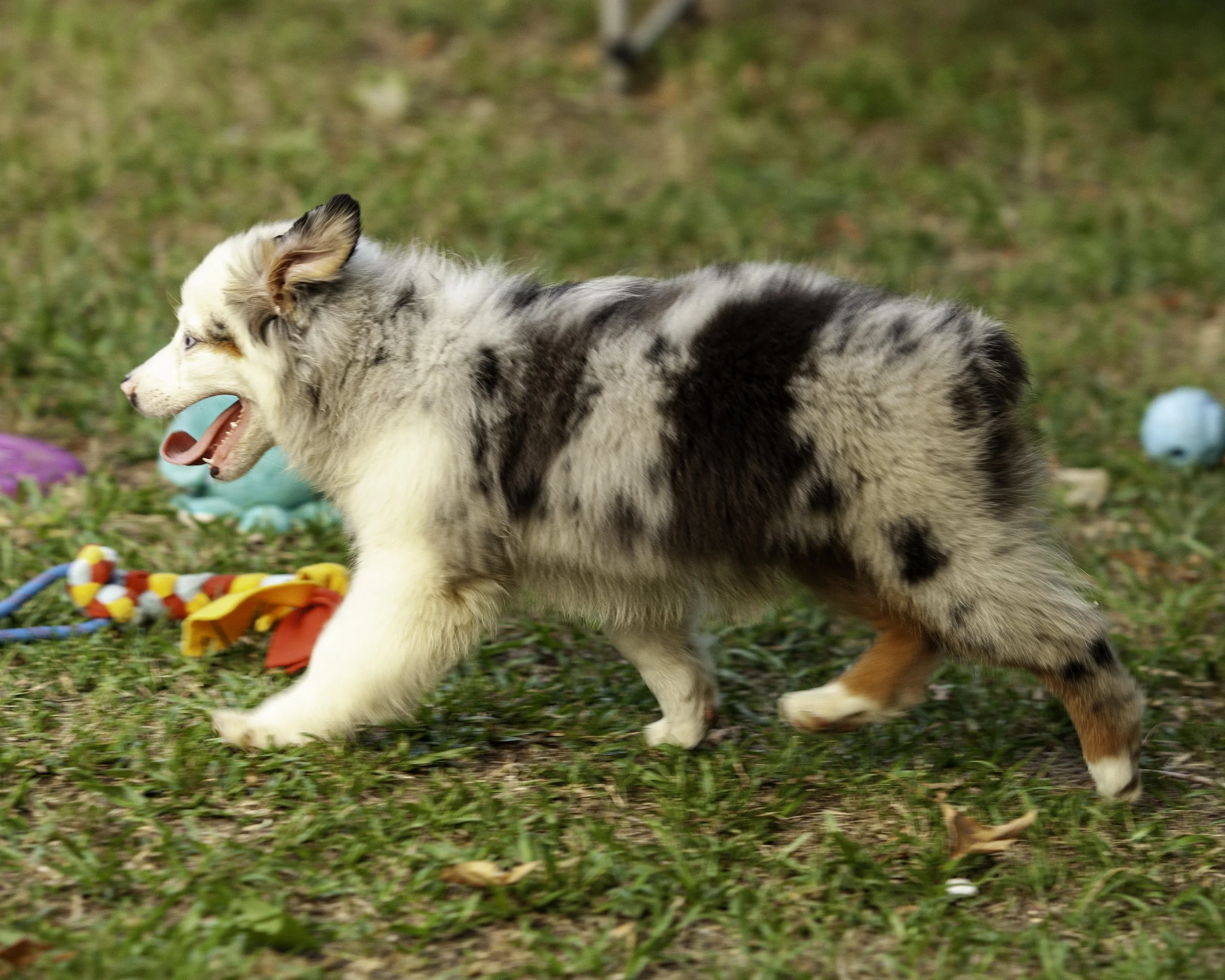 shadows pupf-8351-Edit.jpg