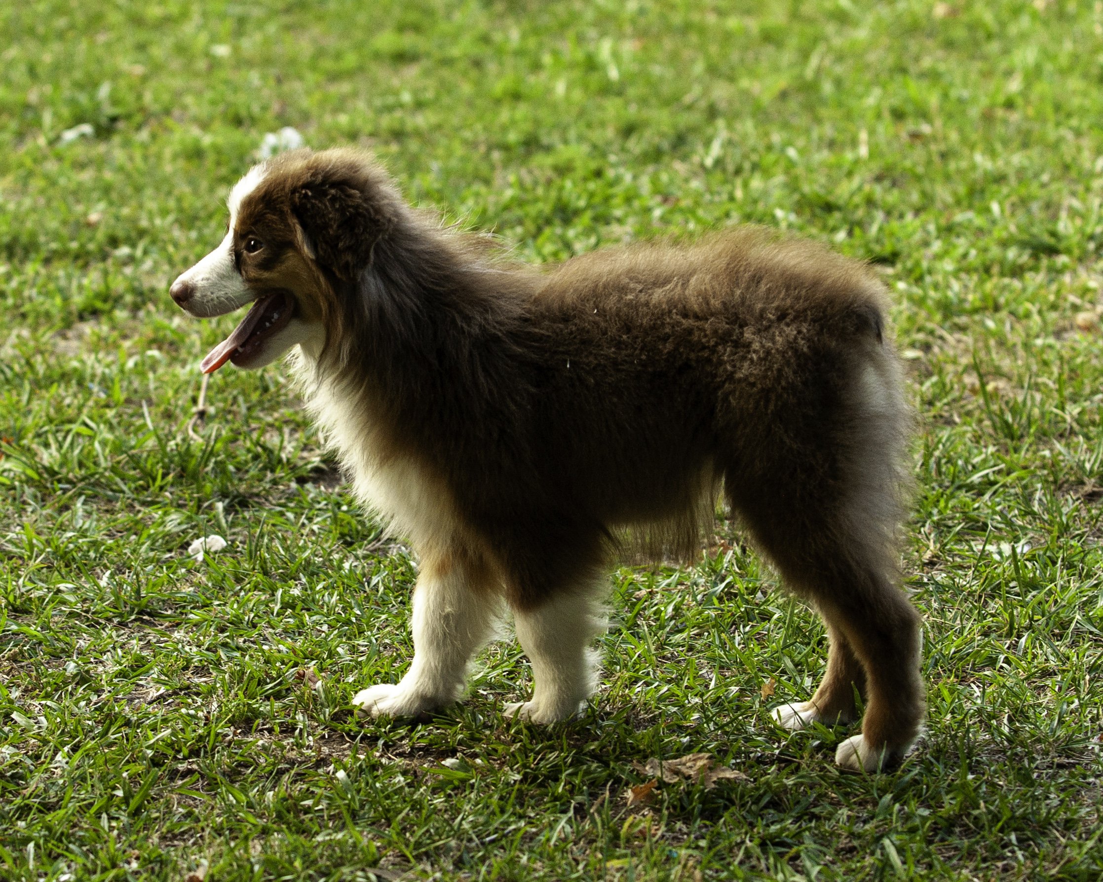 shadows pupf-8272-Edit.jpg