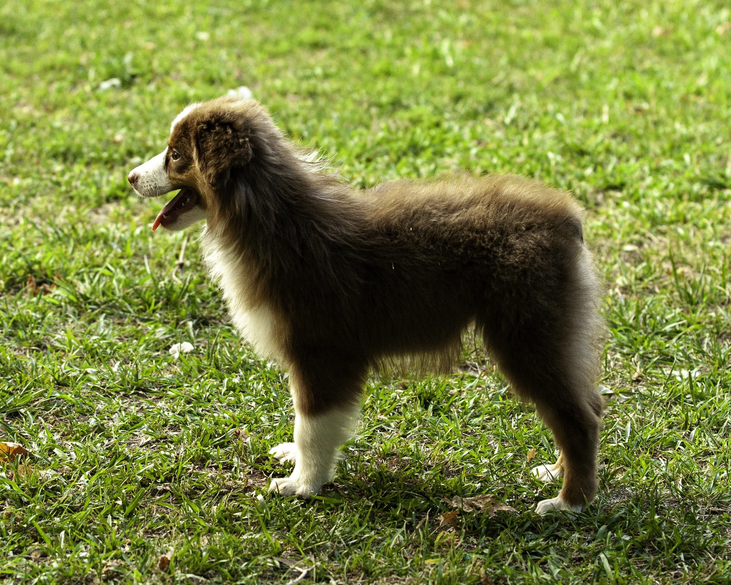 shadows pupf-8273-Edit.jpg