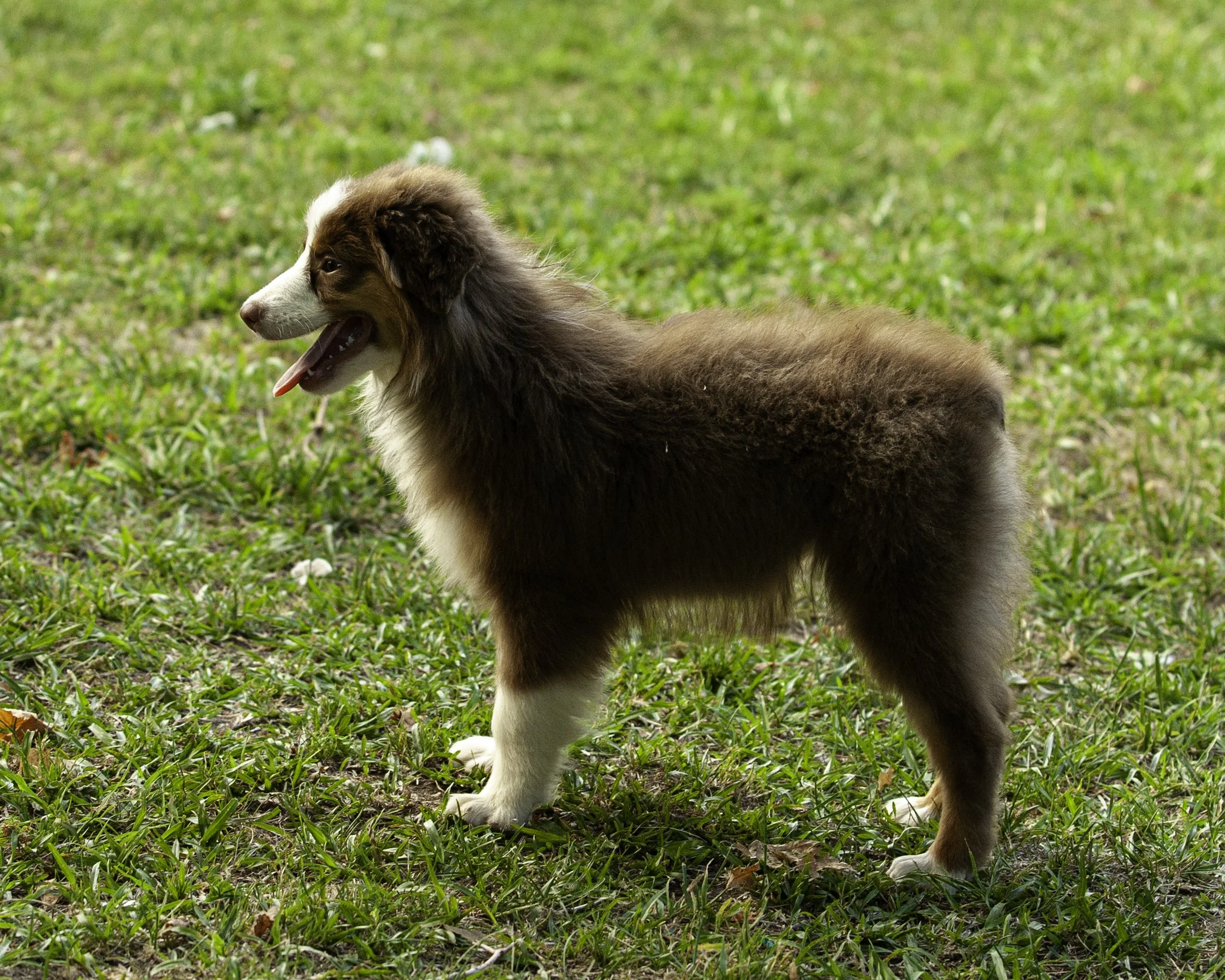 shadows pupf-8274-Edit.jpg
