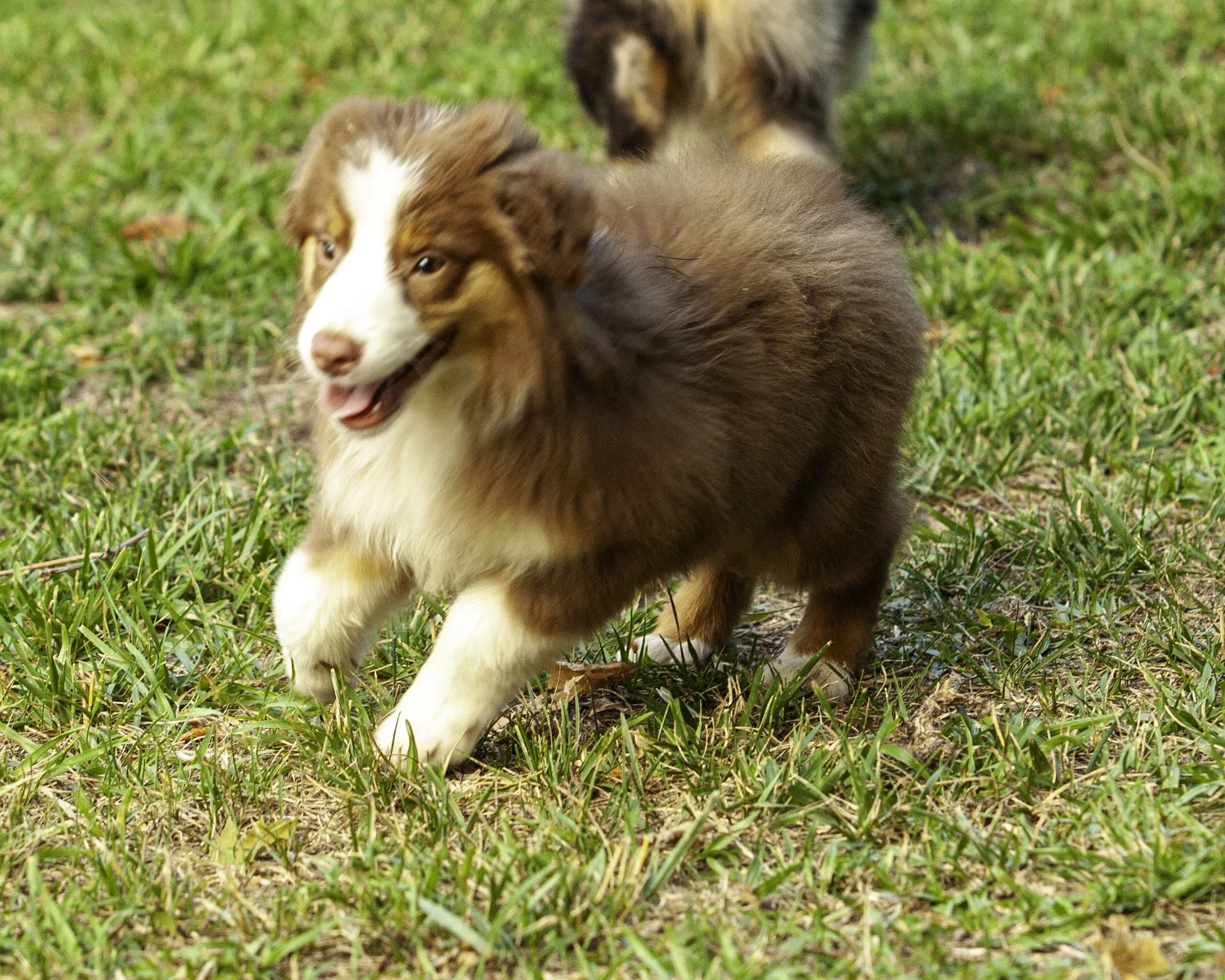 shadows pupf-8331-Edit.jpg