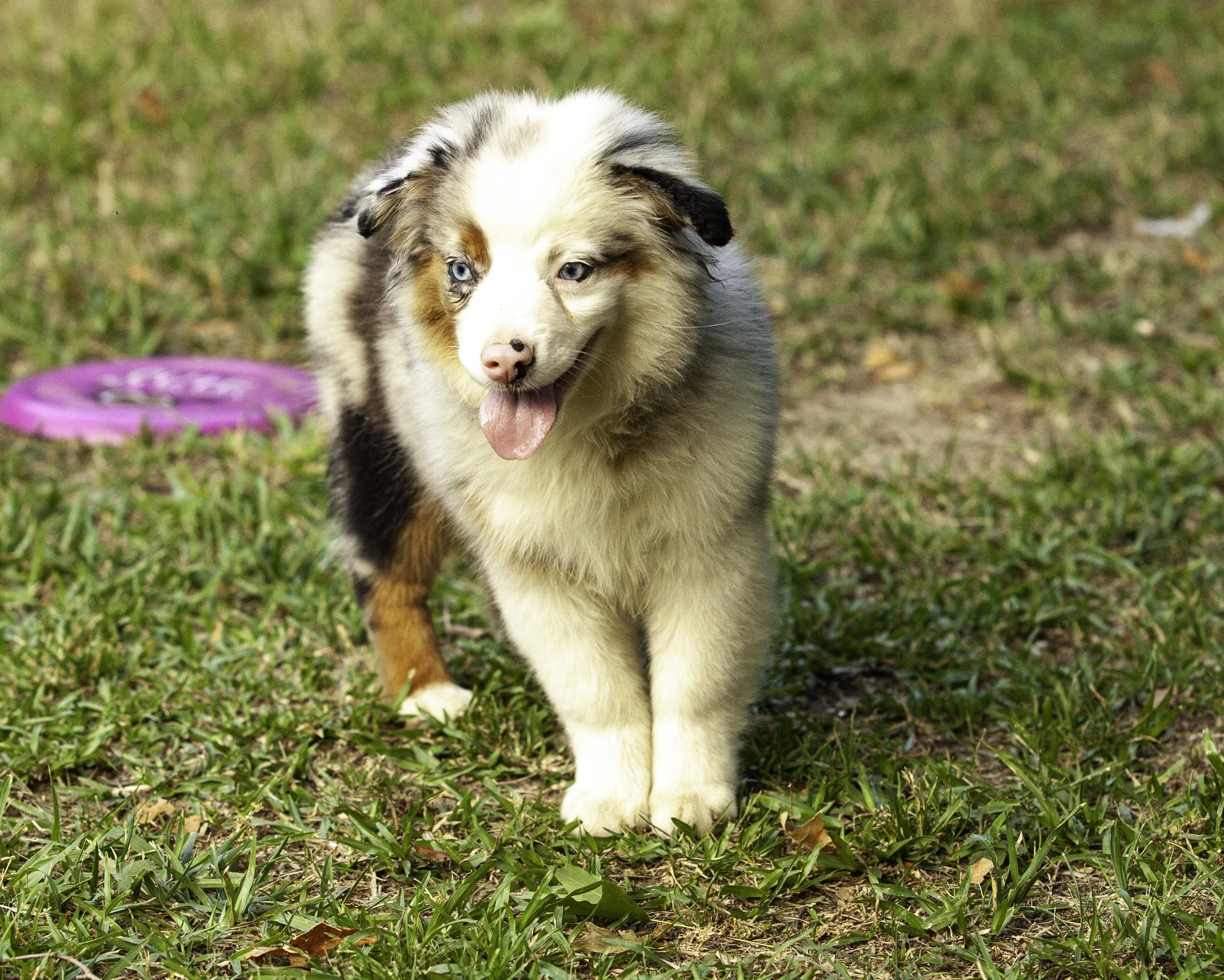 shadows pupf-8364-Edit.jpg