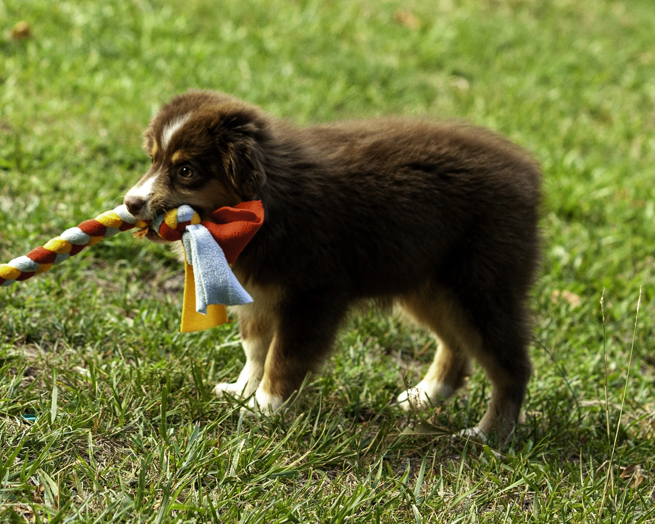 shadows pupf-8298-Edit.jpg