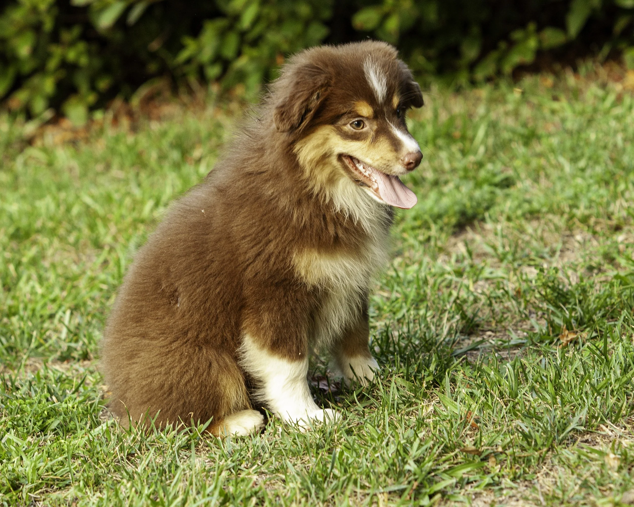 shadows pupf-8320-Edit.jpg