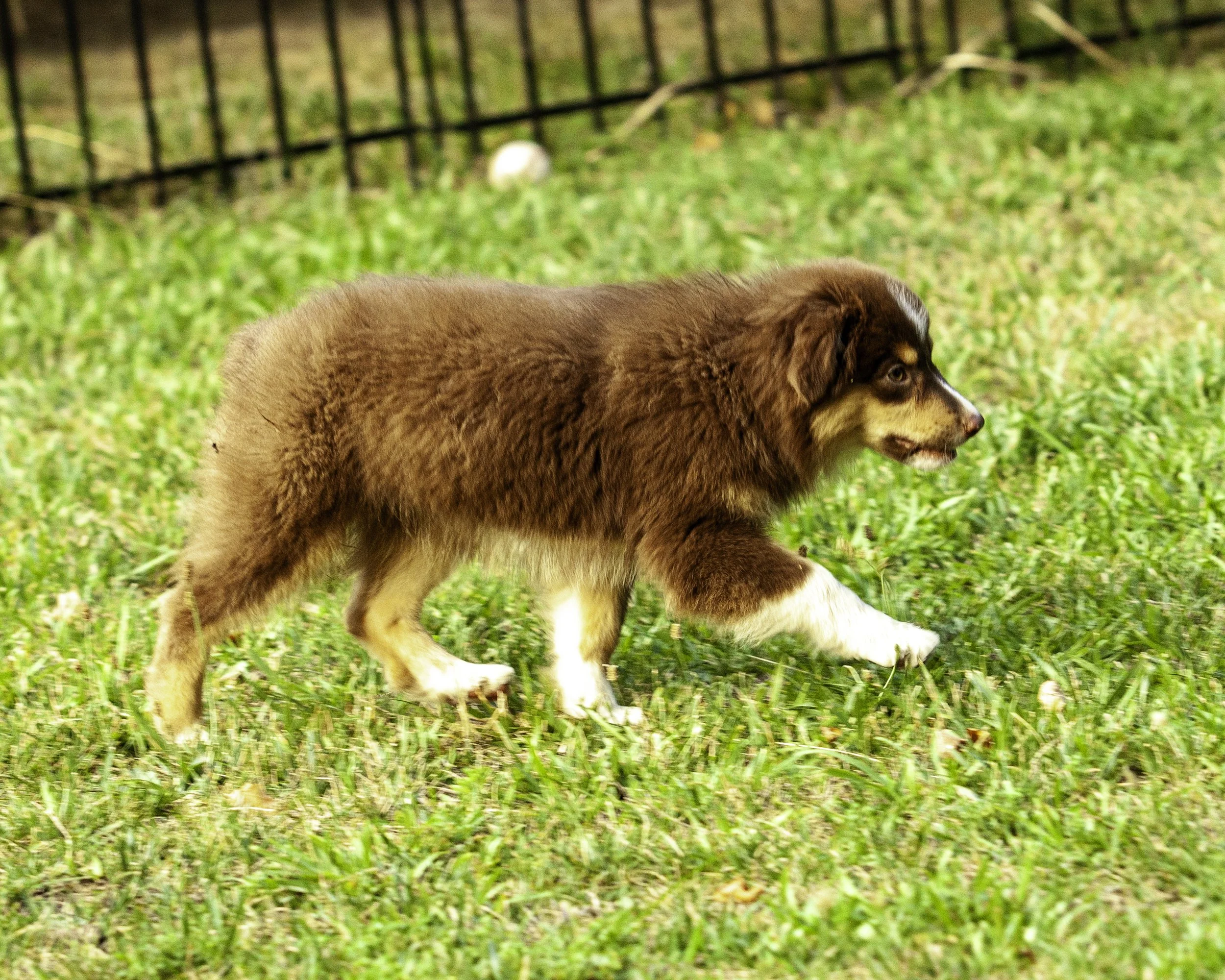 shadows pupf-8377-Edit.jpg