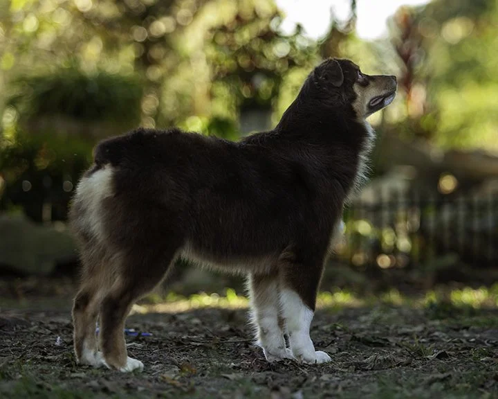untitled-3469-Edit.jpg