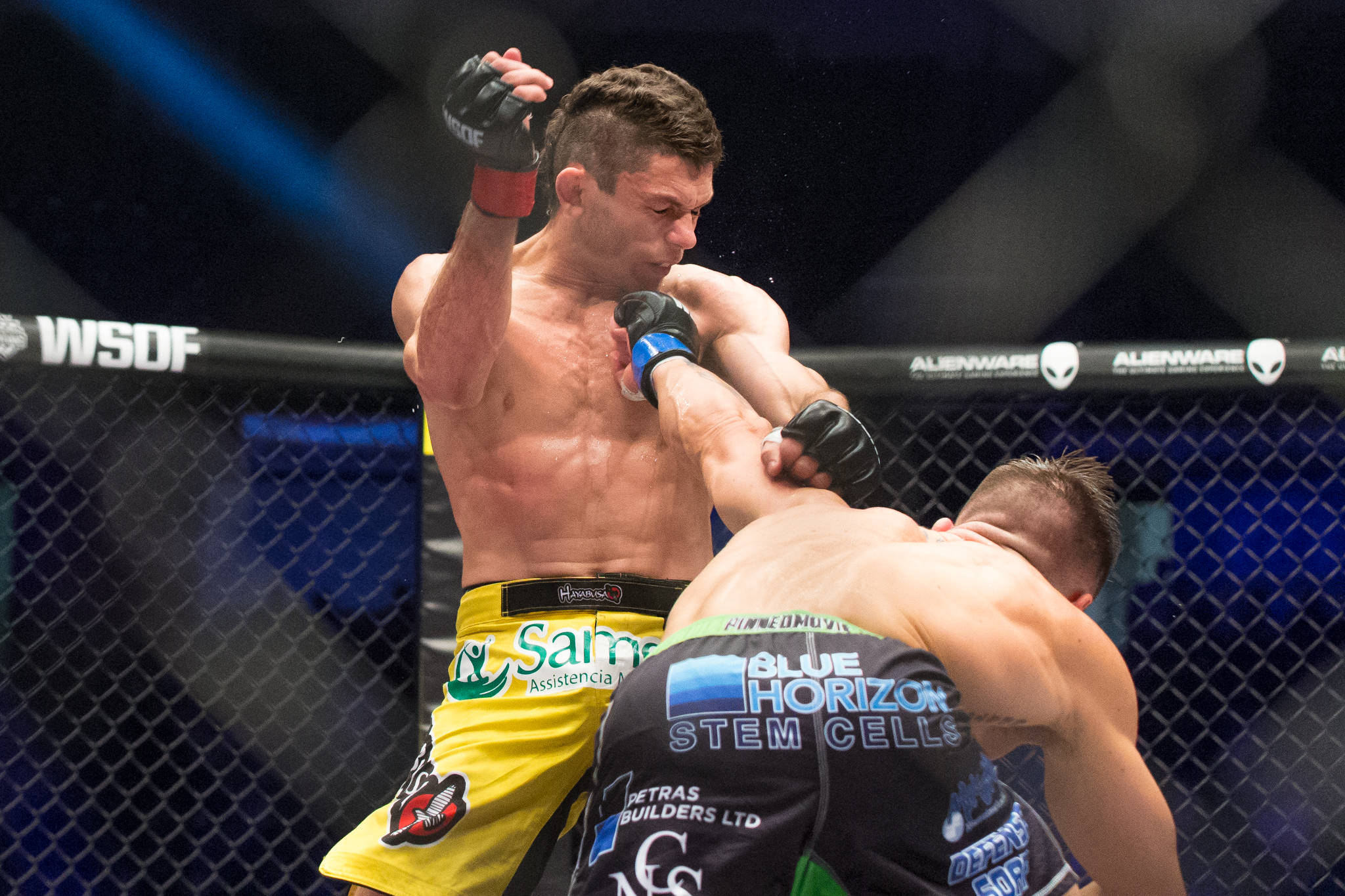 Big left hand from Palmer lands right on the chin of Almeida