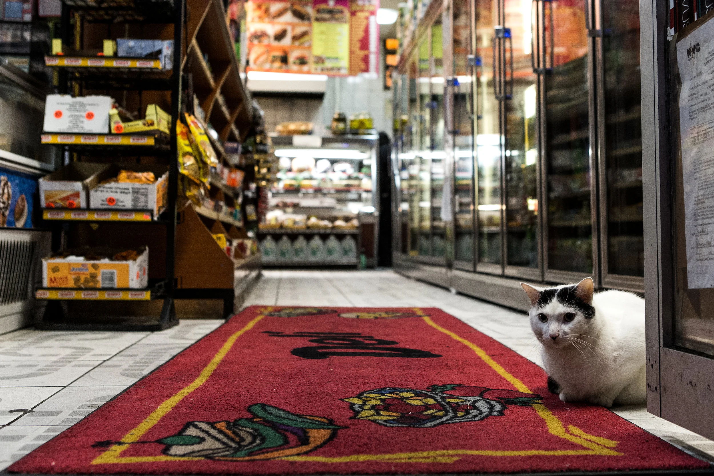 Guard Kittah.jpg