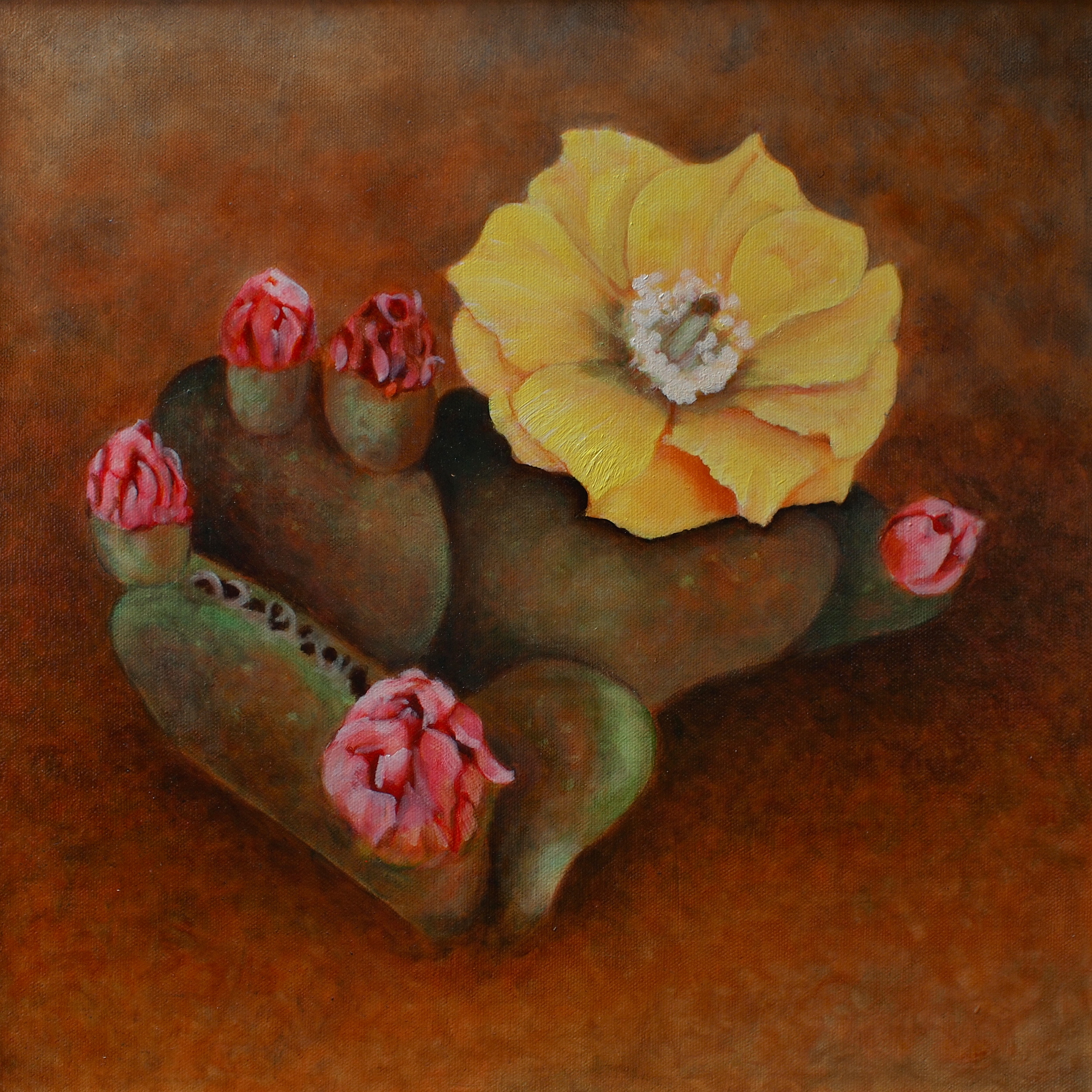  Cactus Flower, Mark Spenser, teacher. 12 x 12 