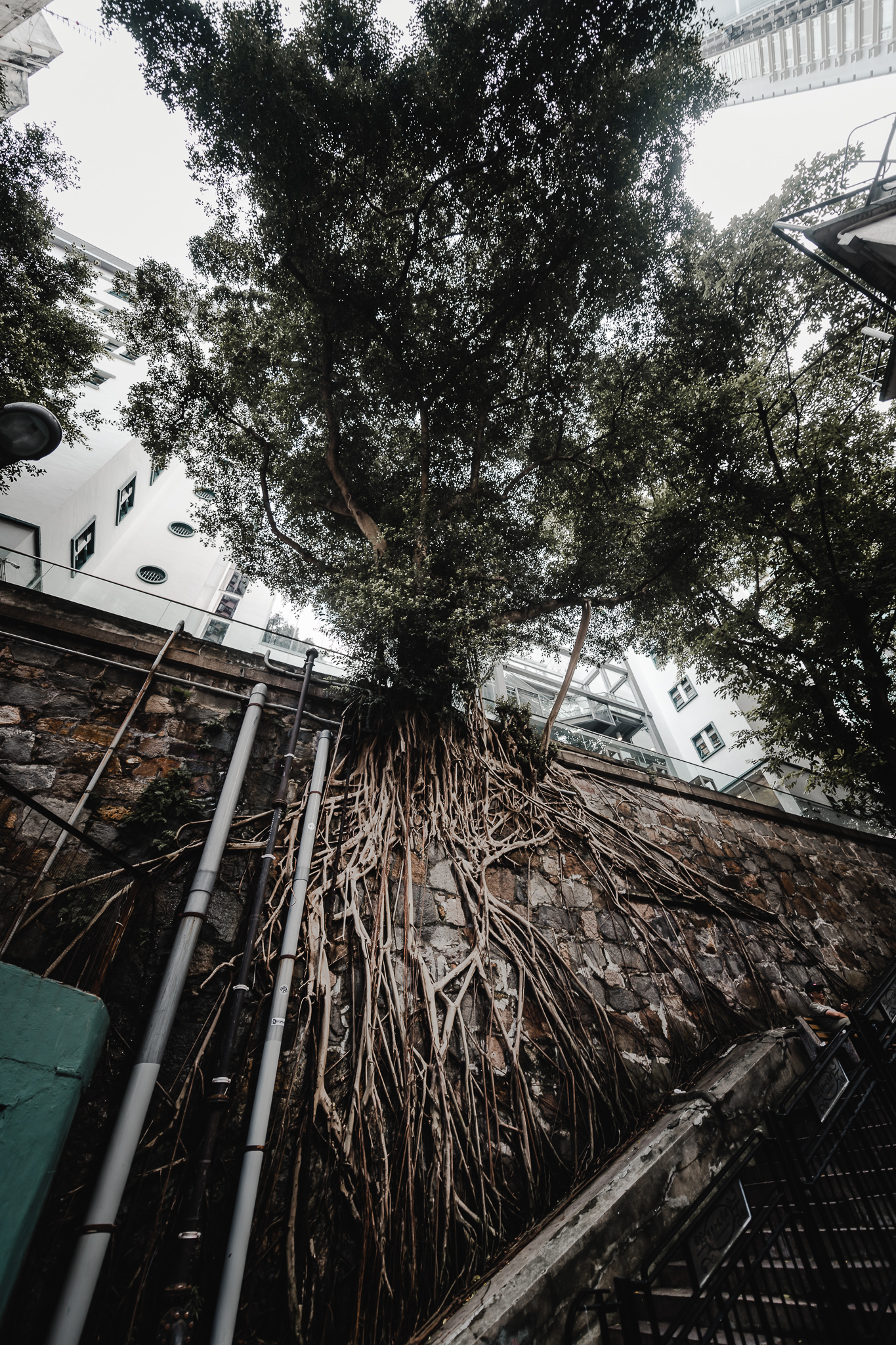 hongkong