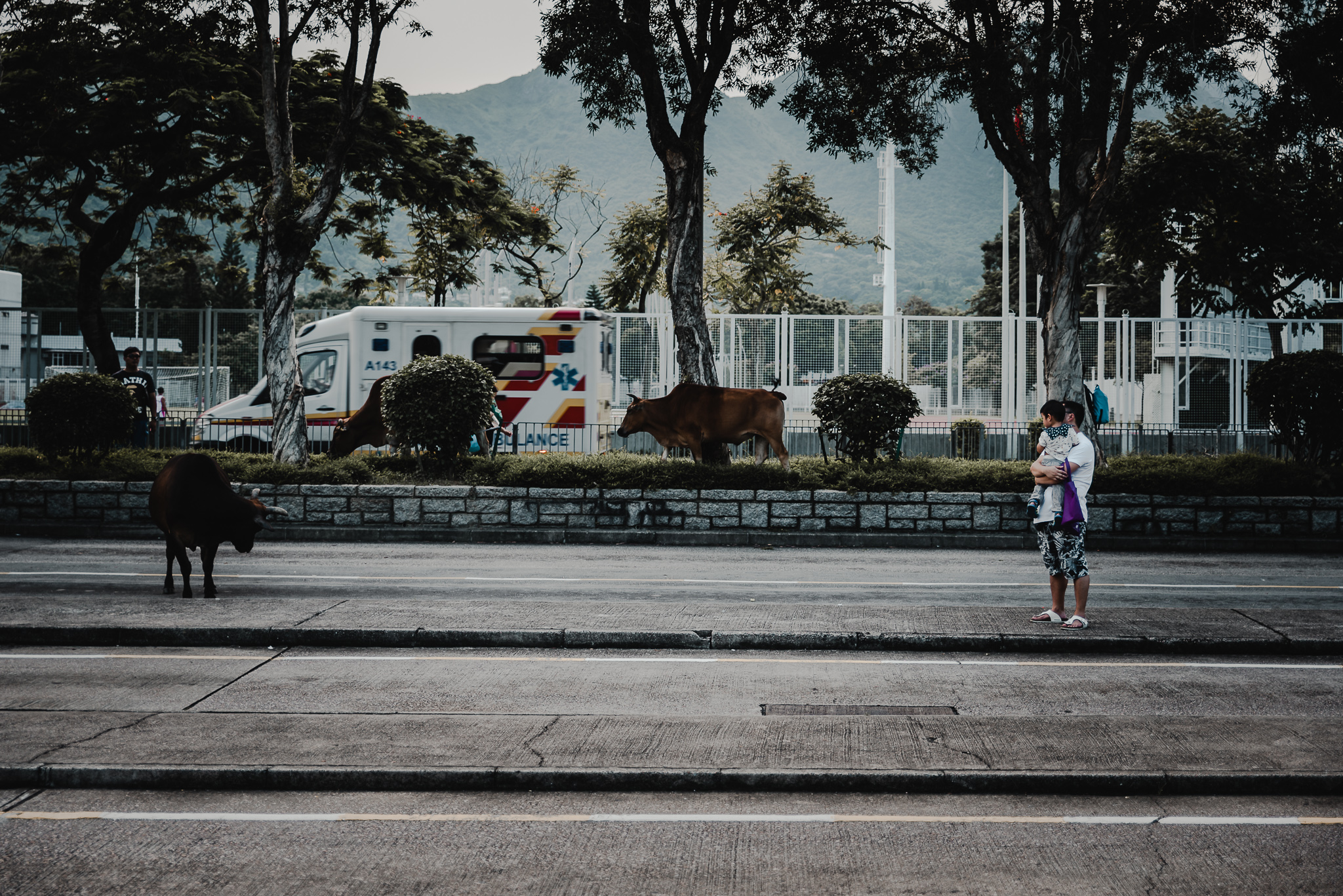 Hongkong