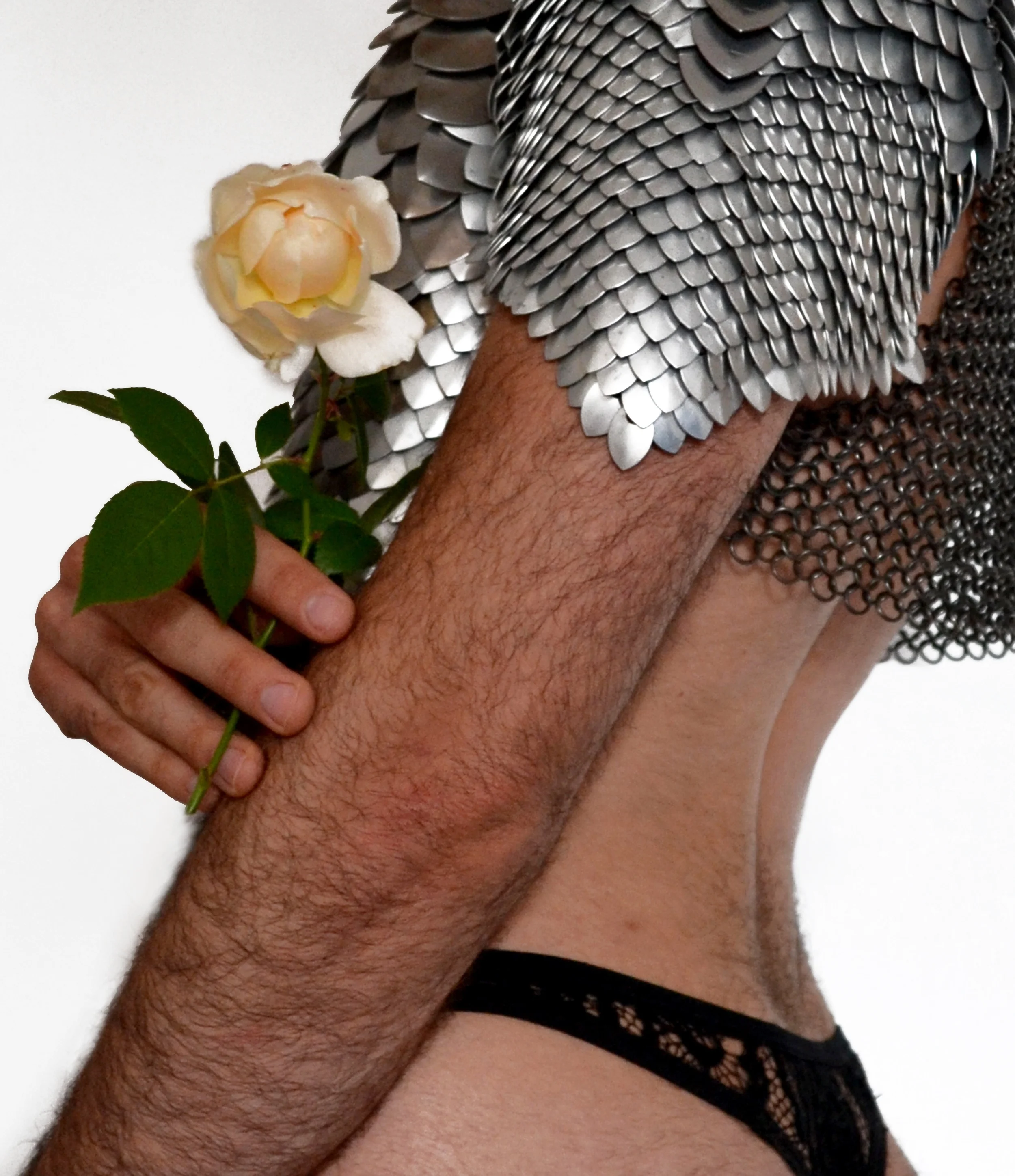 Compersion dos cover .jpg