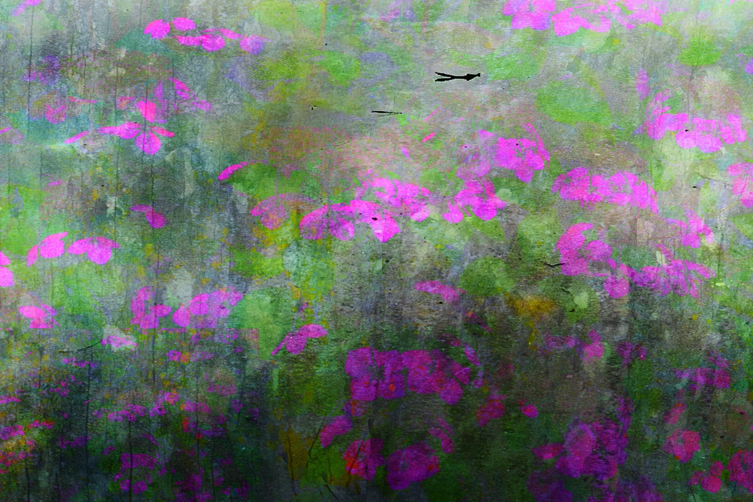 Monet Study I, Pond .jpg