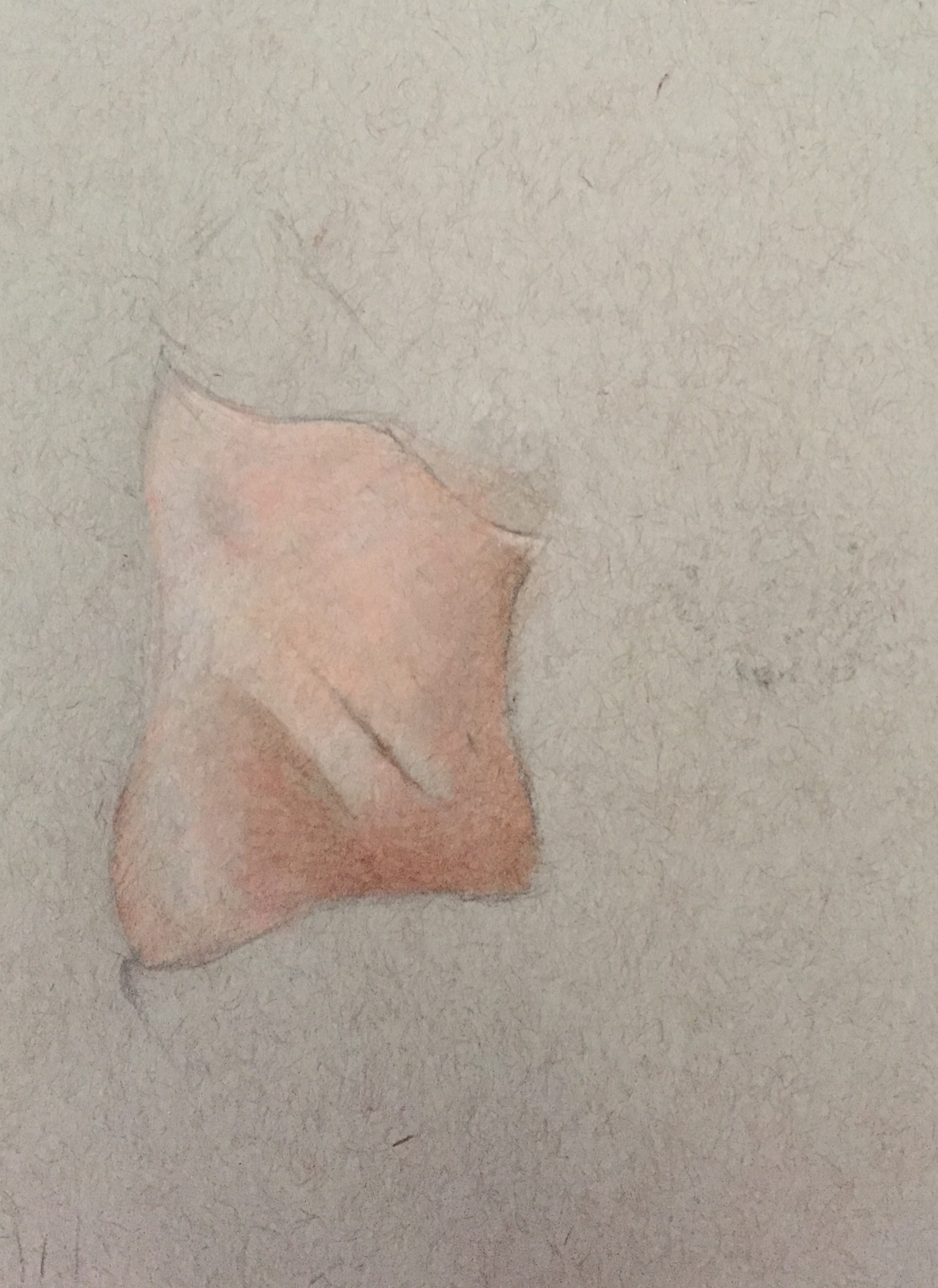 Shading Torso