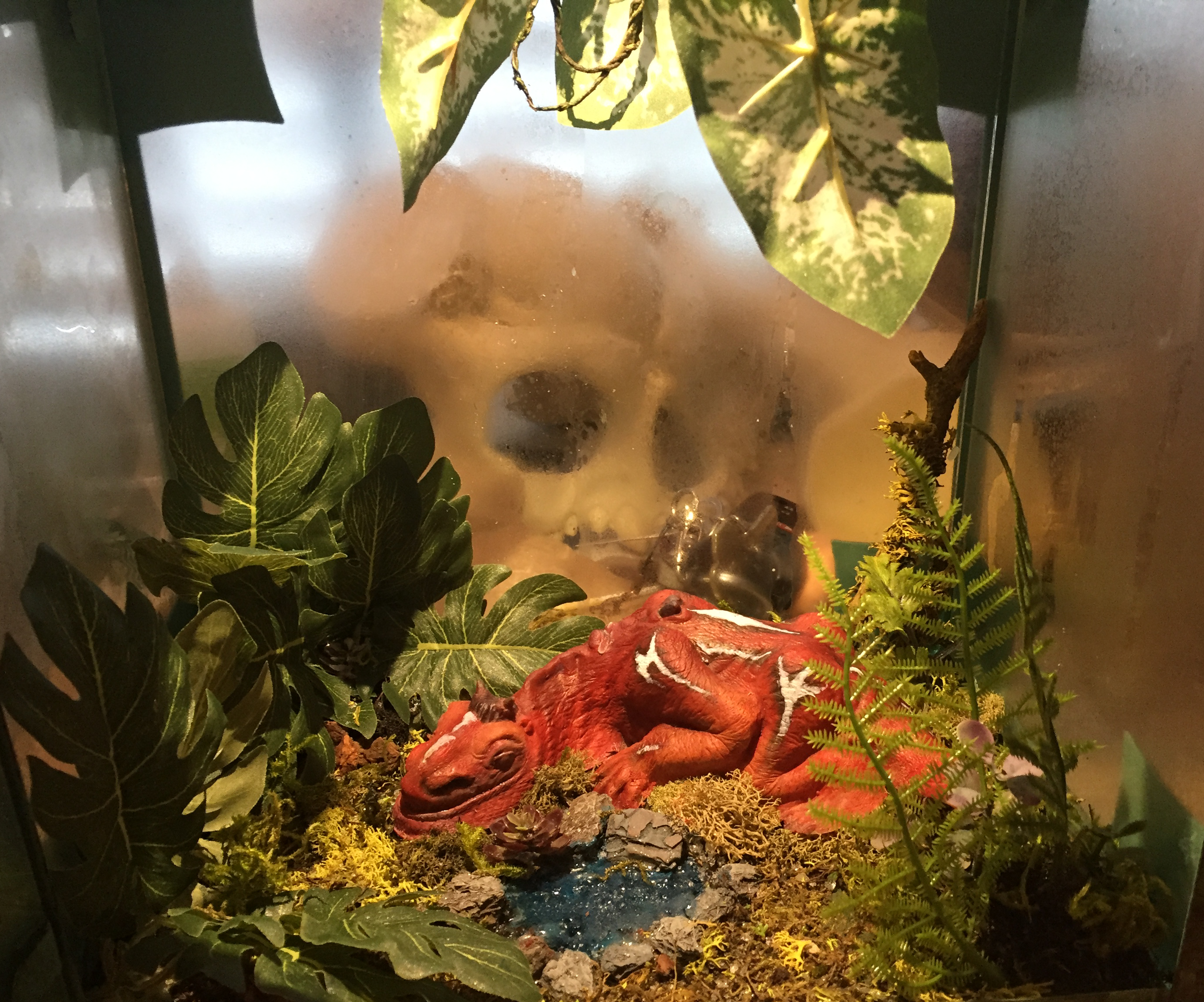 Jungle nap