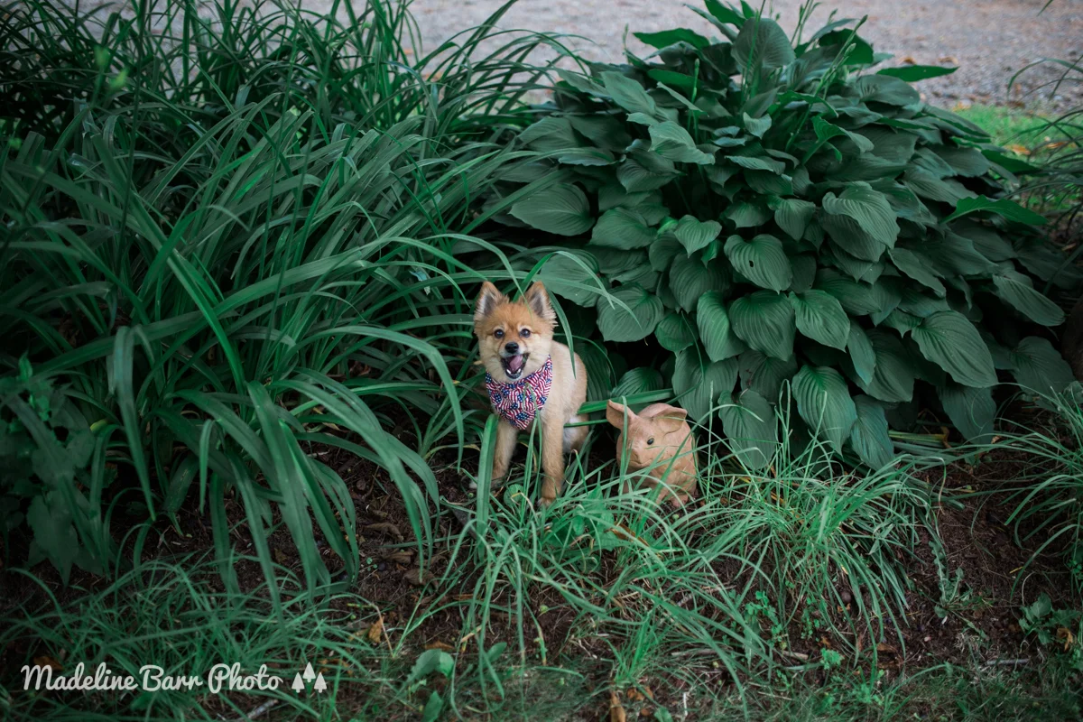 best friends weekend watermark-148.jpg