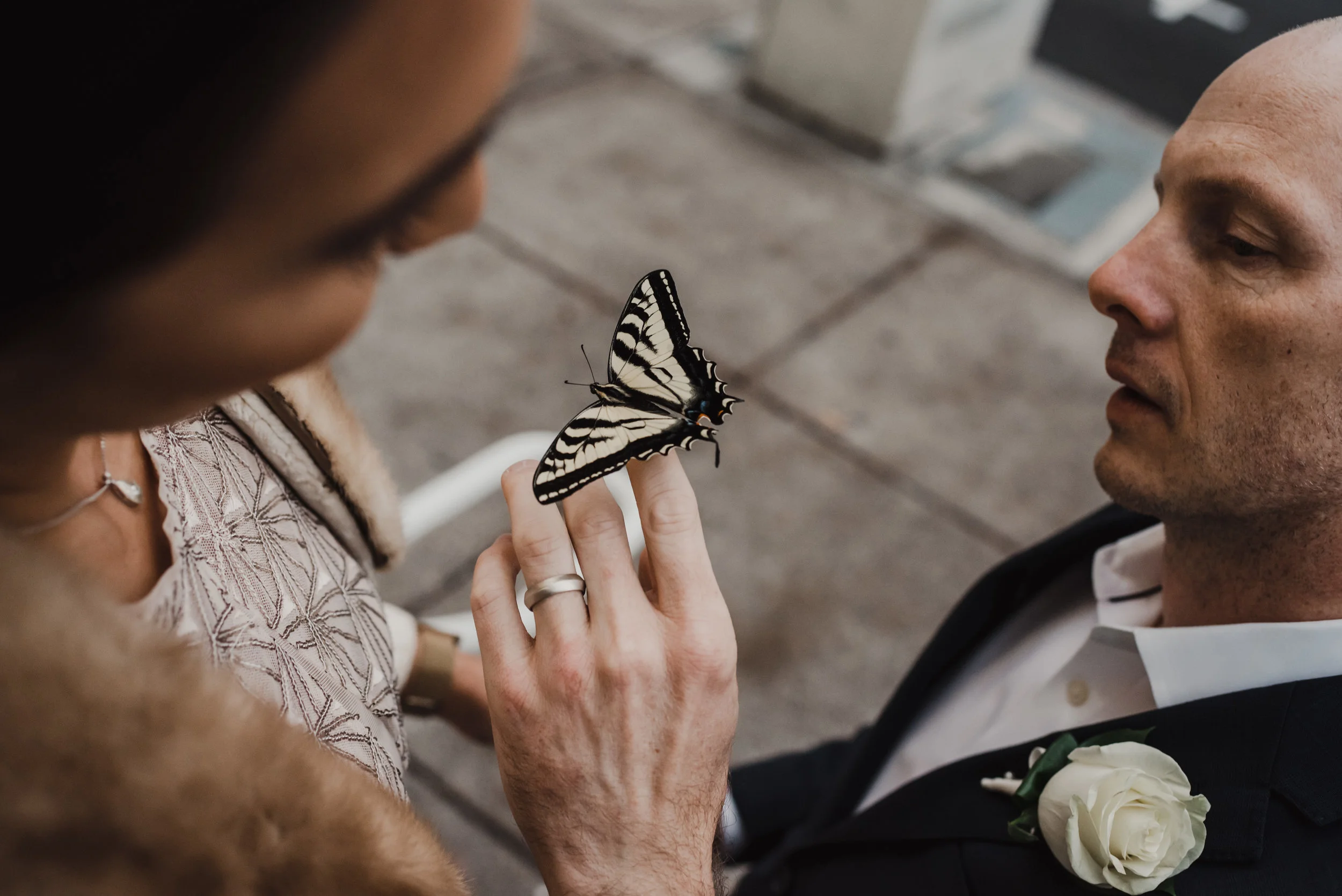 JennyMatt_SanDiego_Elopement0325.jpg