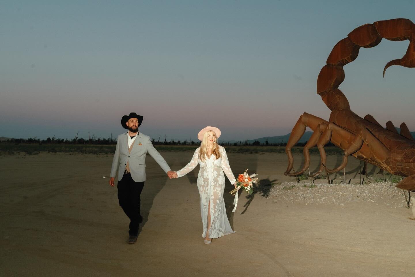 Desert dreamin&rsquo; with Chiara &amp; Brad 🌵💕
✨
#desertelopement #anzaborrego #sandiegoelopement #elopementphotographer #destinationweddingphotographer