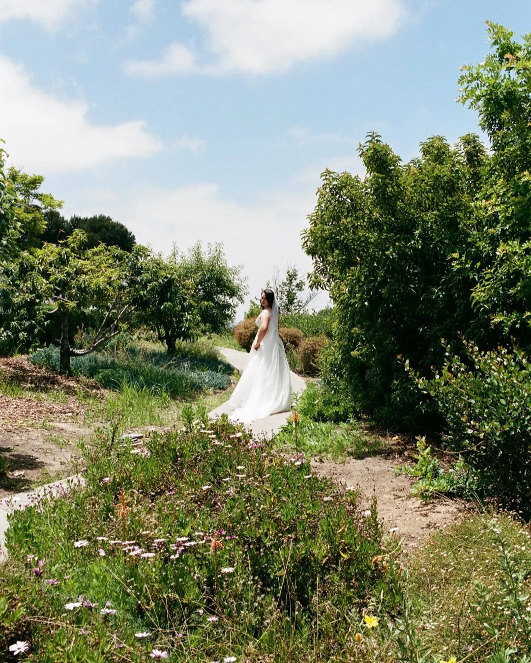 Get into @uofsandiego ✅
Fall in love at @uofsandiego ✅
Get married at @uofsandiego ✅

A perfect spring day for @comfycozybakes @carlferber shot on @kodak #portra400 film

Coordination: @poppyconsultingco 
Venue: @fc_usd @thevault.sandiego 
Catering: 