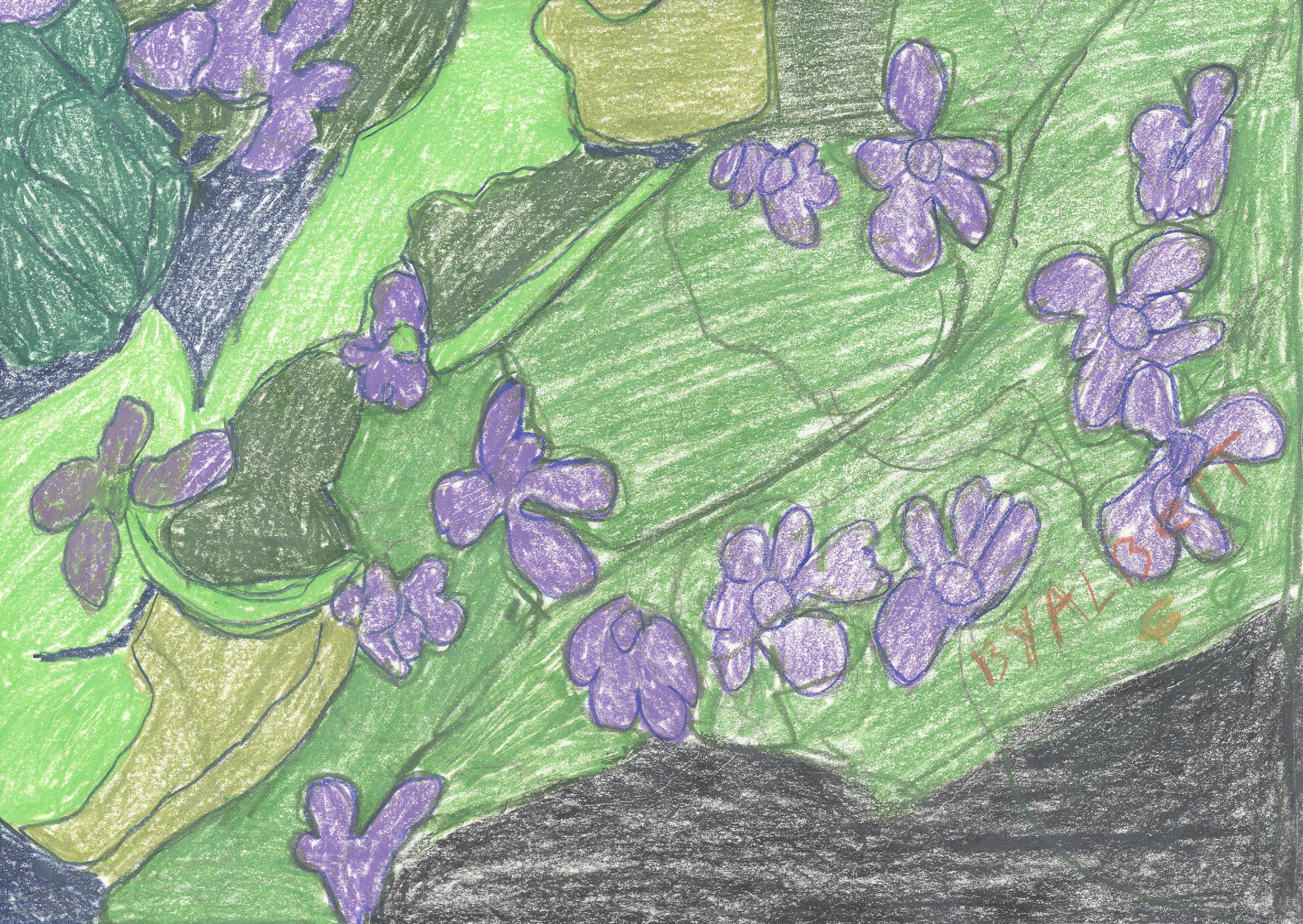 Wood Violets
